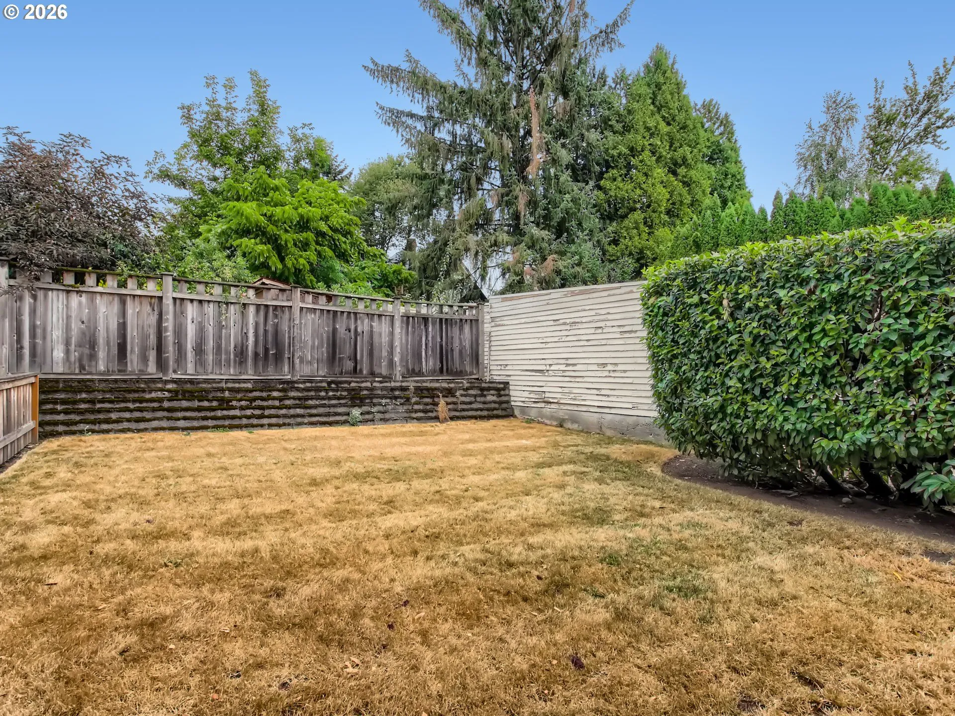 Backyard