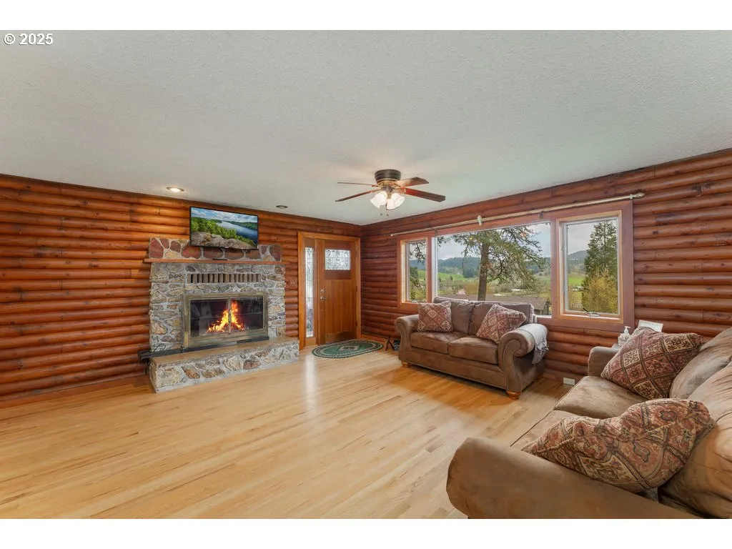 Living Room-Fireplace