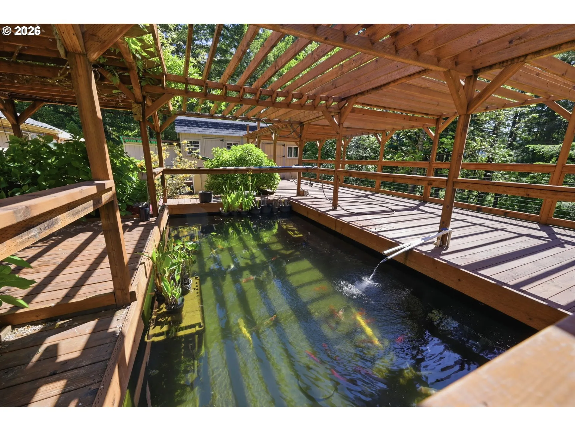 Pond