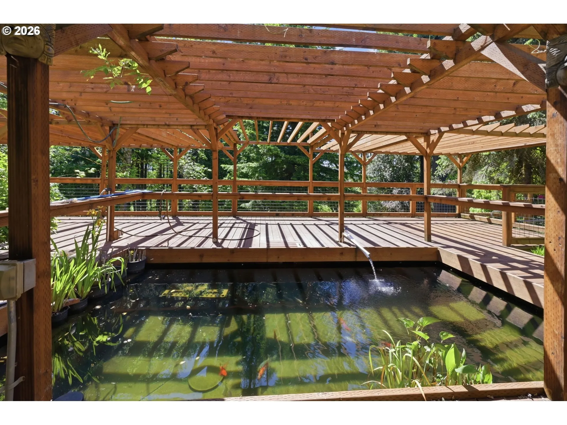 Pond