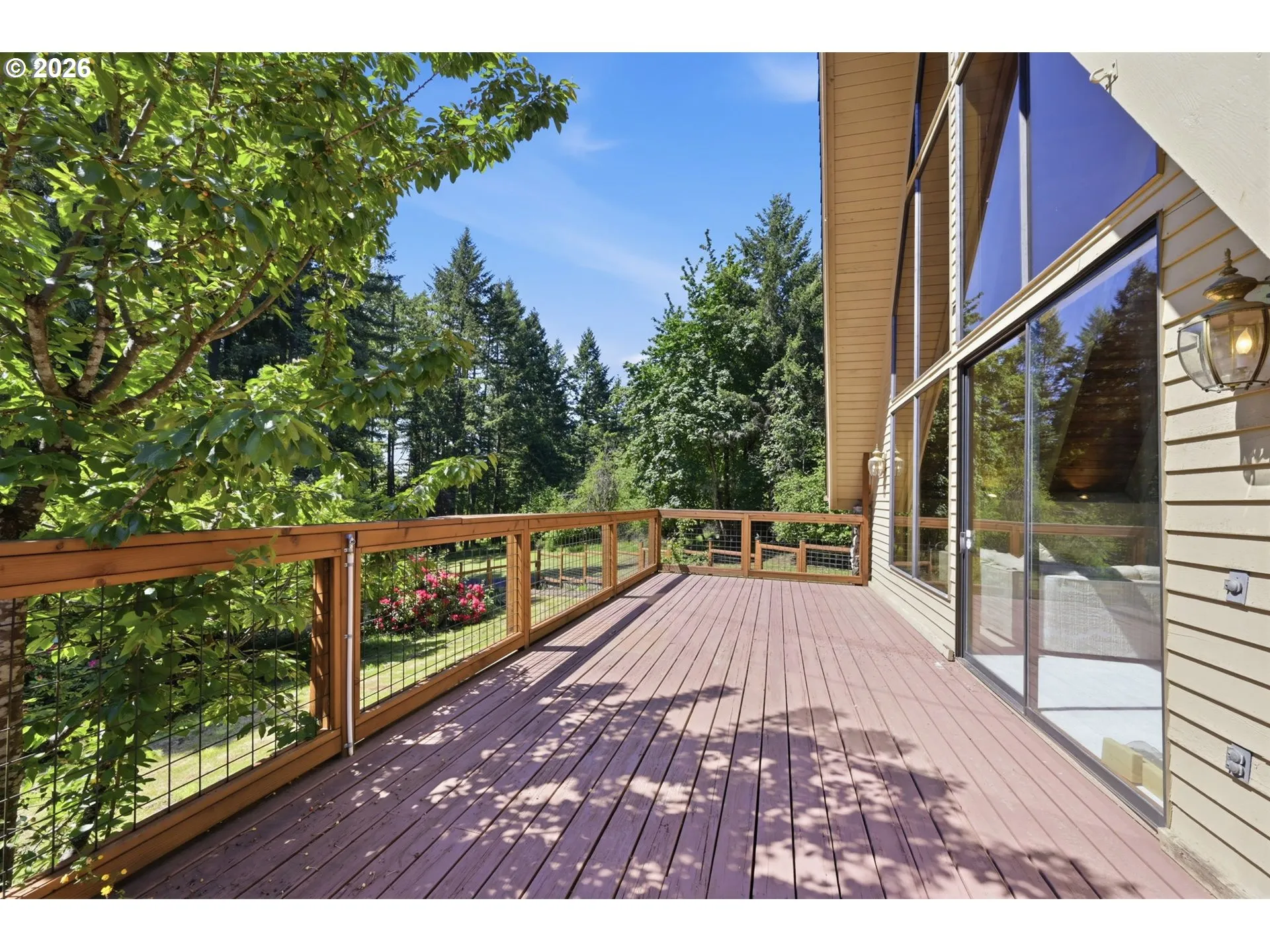 Deck-Main