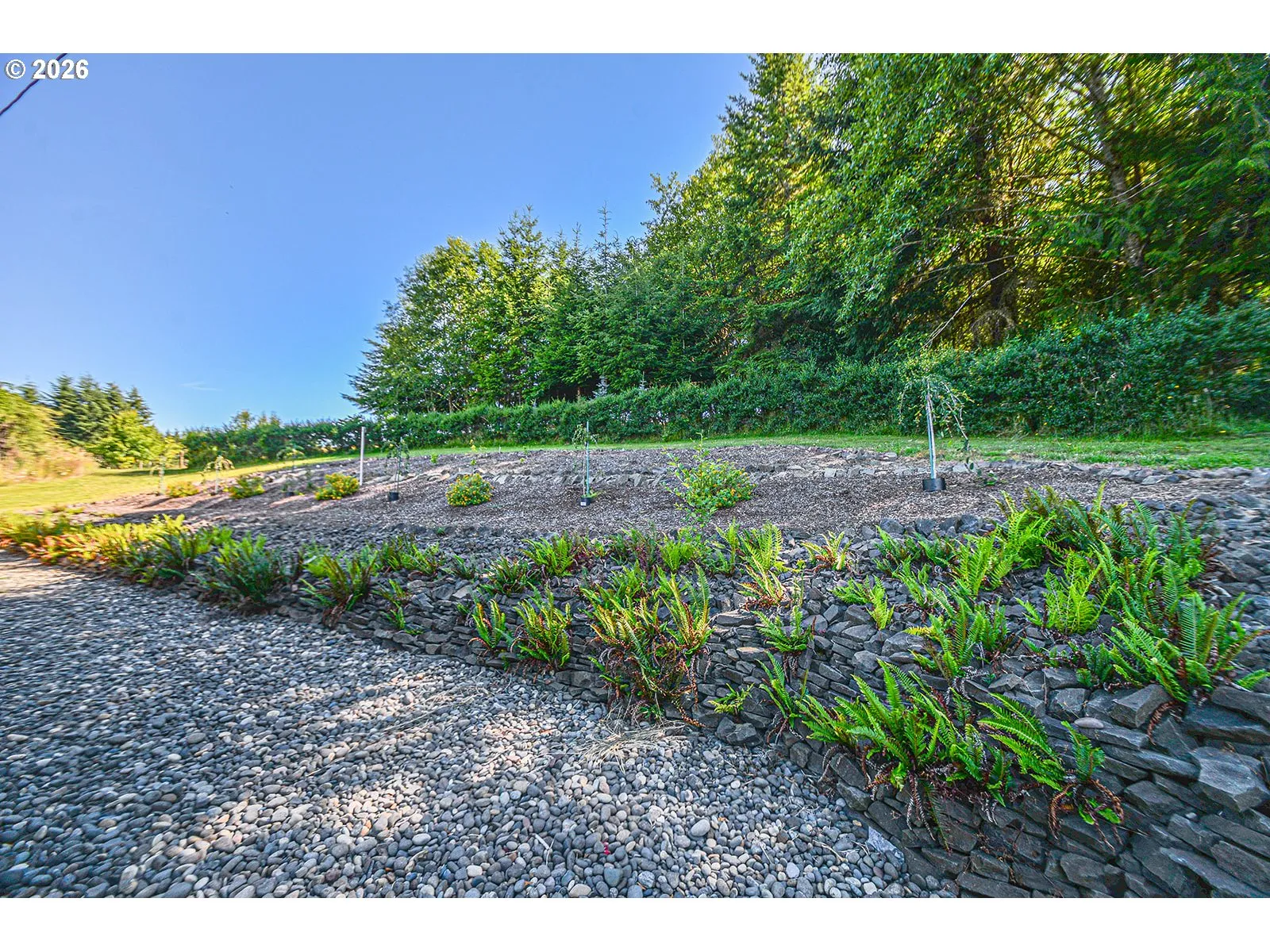 Yard-Manicured