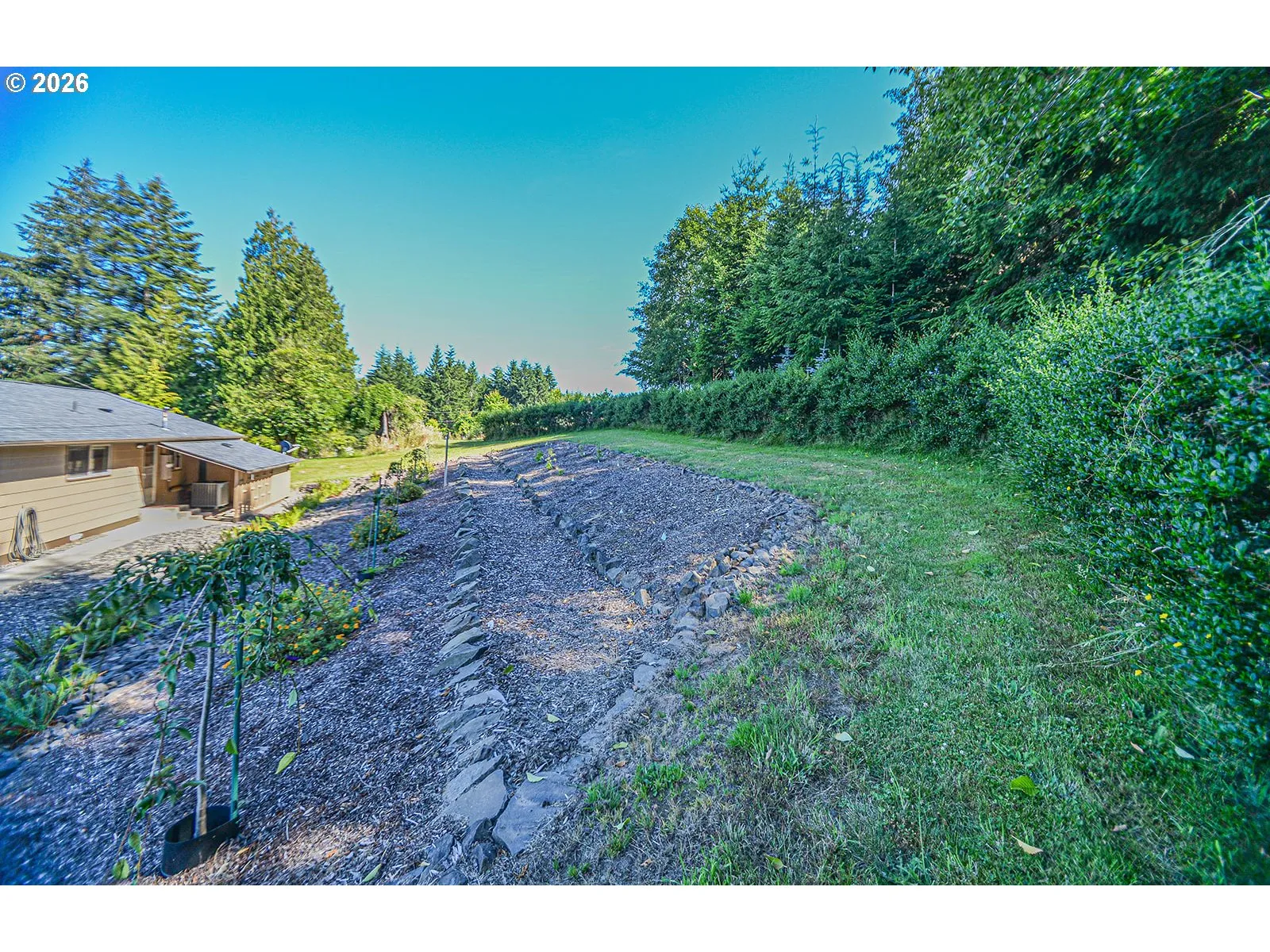 Yard-Landscaped