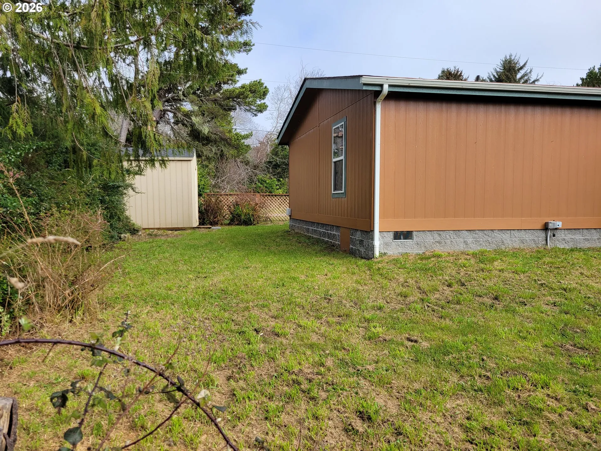 Backyard-View From