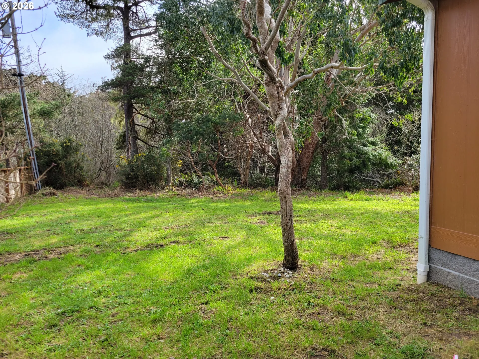 Front Yard-# 2