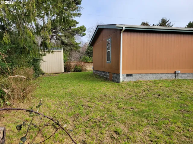 Backyard-View From