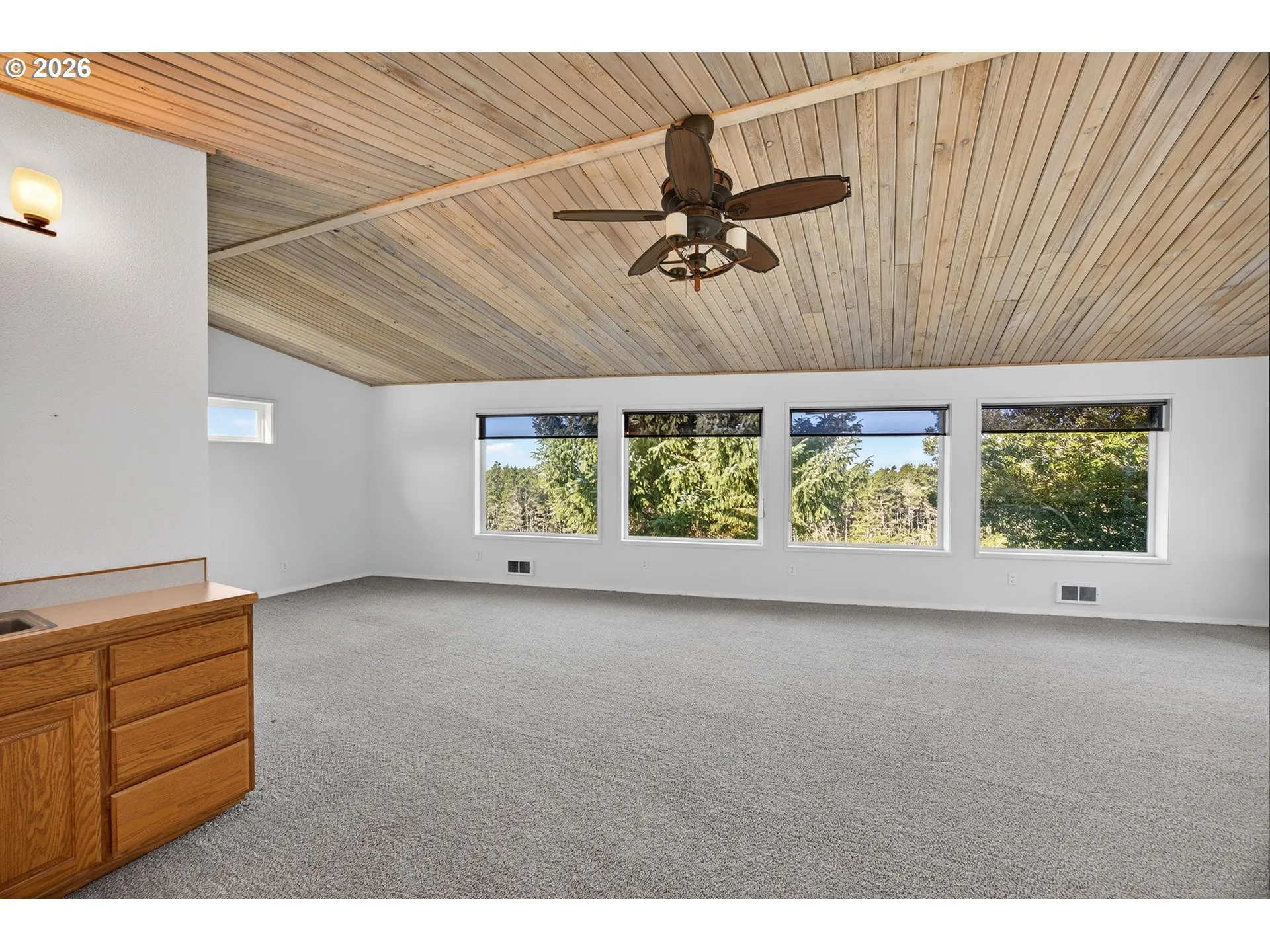 Bonus Room-Ceiling Fan