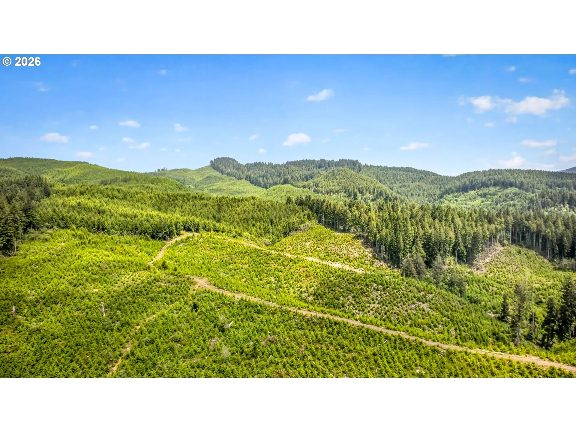 View-Trees