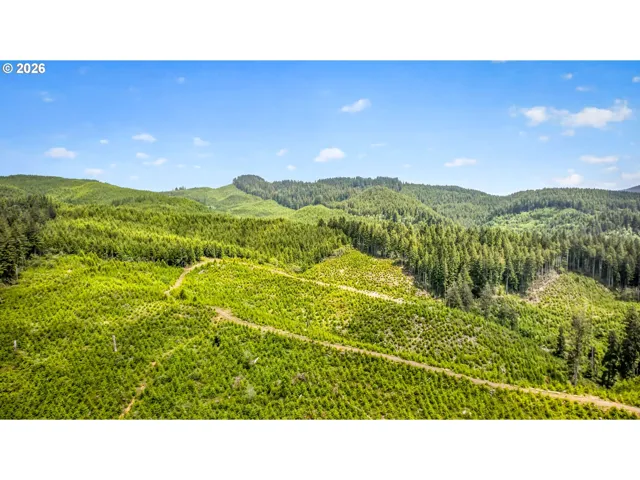 View-Trees