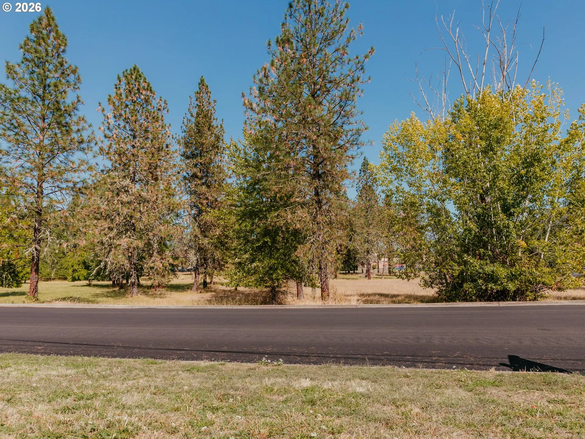 Front Yard-View From