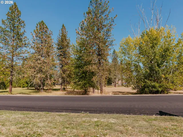 Front Yard-View From