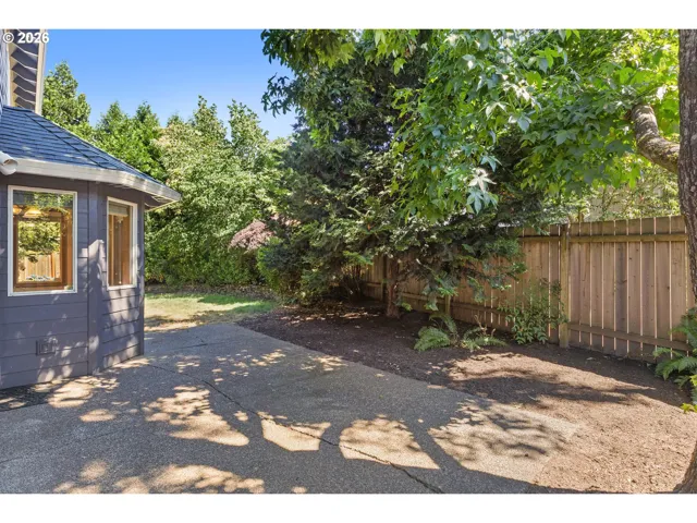 Patio-Backyard