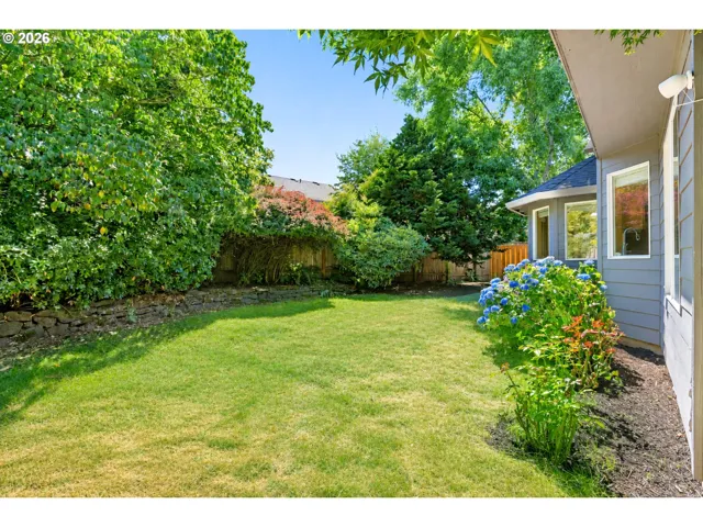 Backyard-Fenced