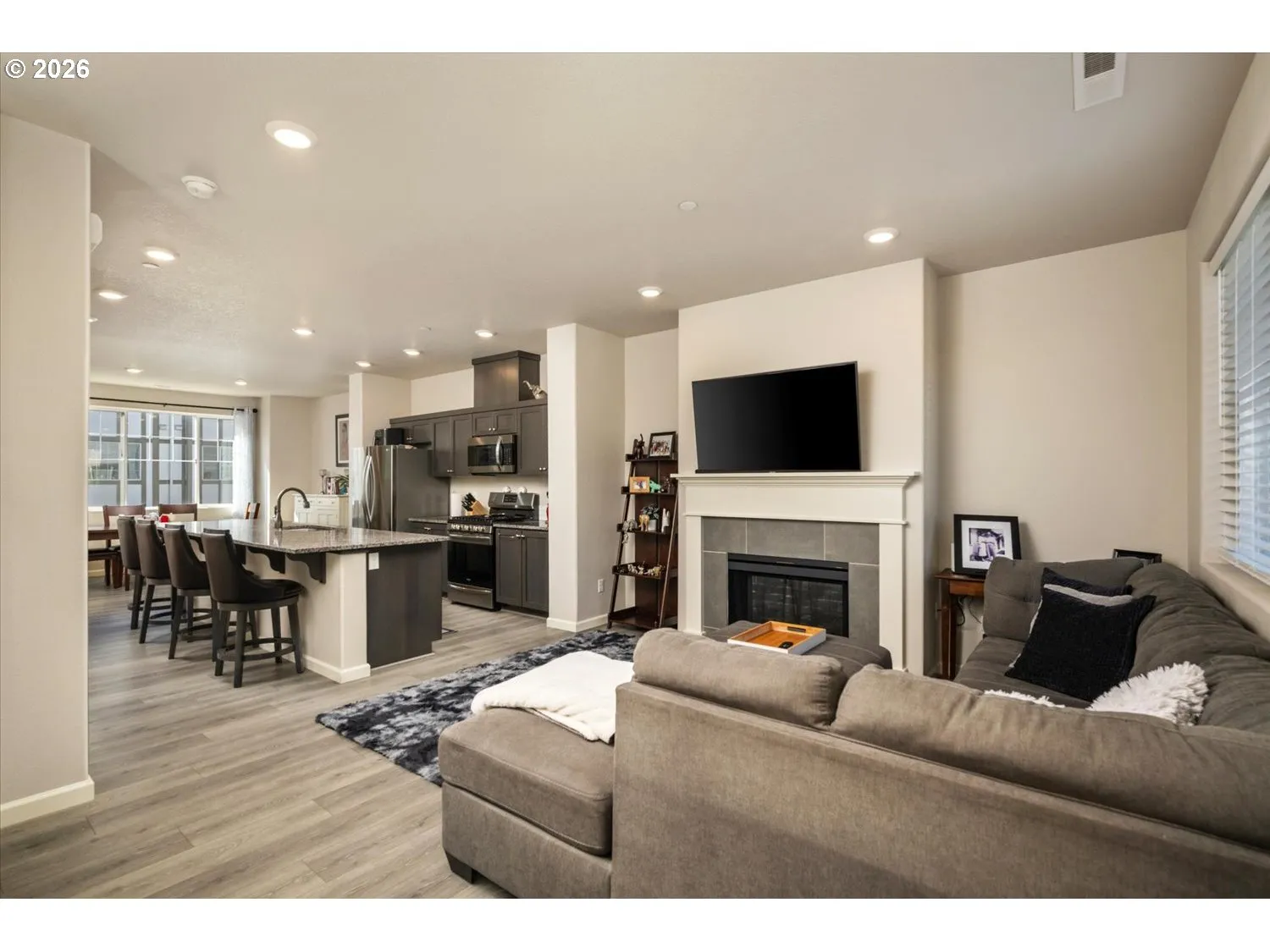 Living Room/Entrance