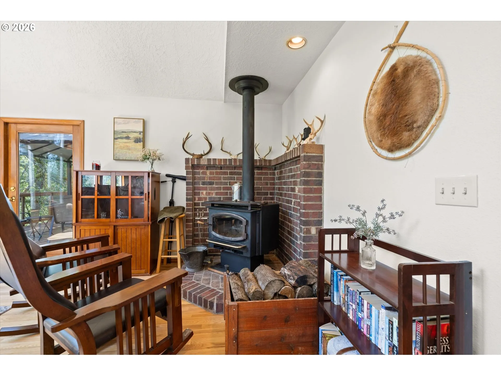 Fireplace Wood Burning Stove/Insert