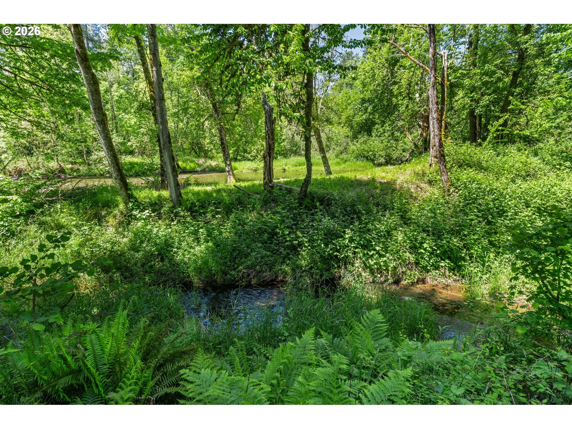 Creek-Year Round