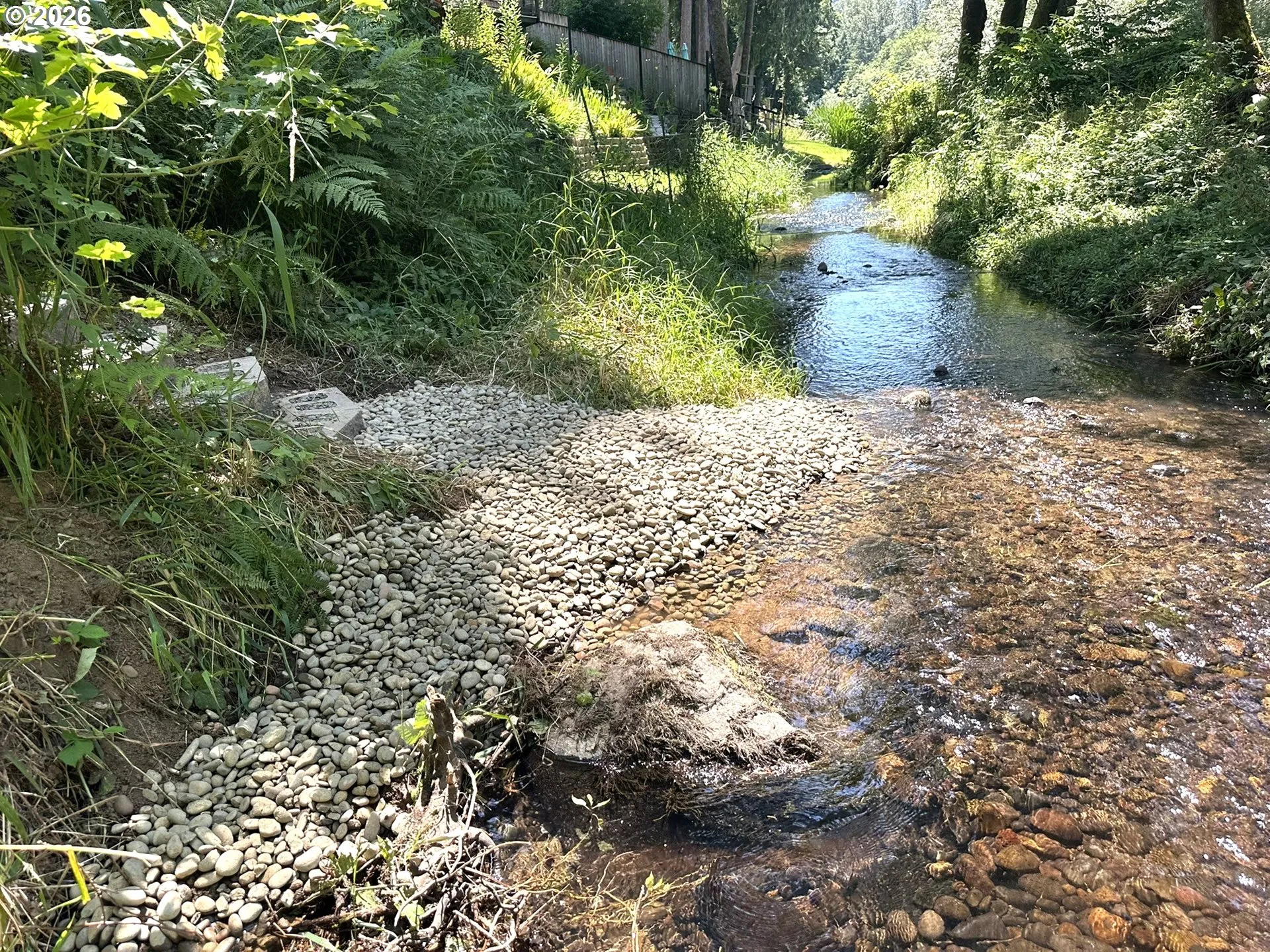 Creek-Year Round