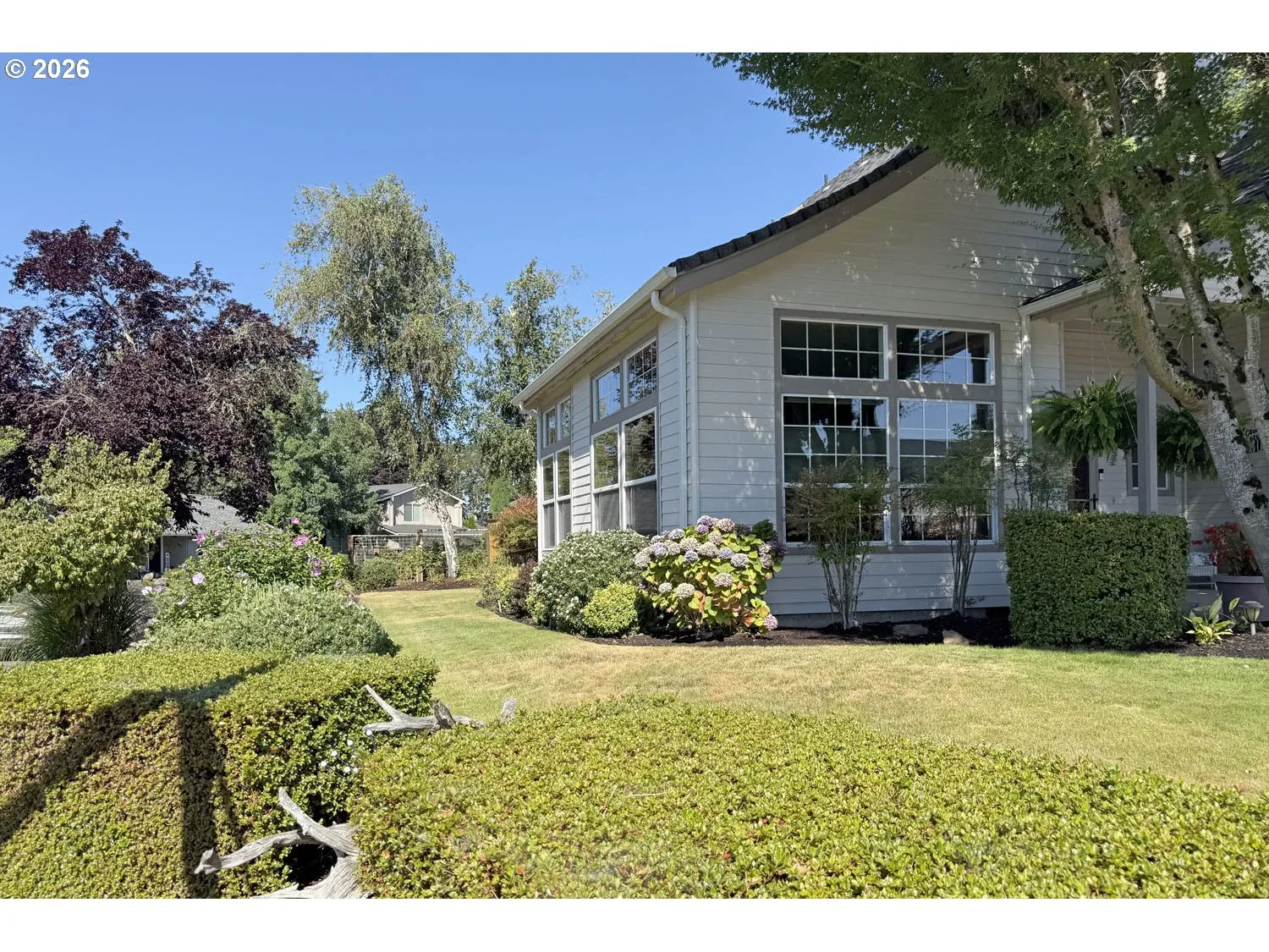Front Yard-View From