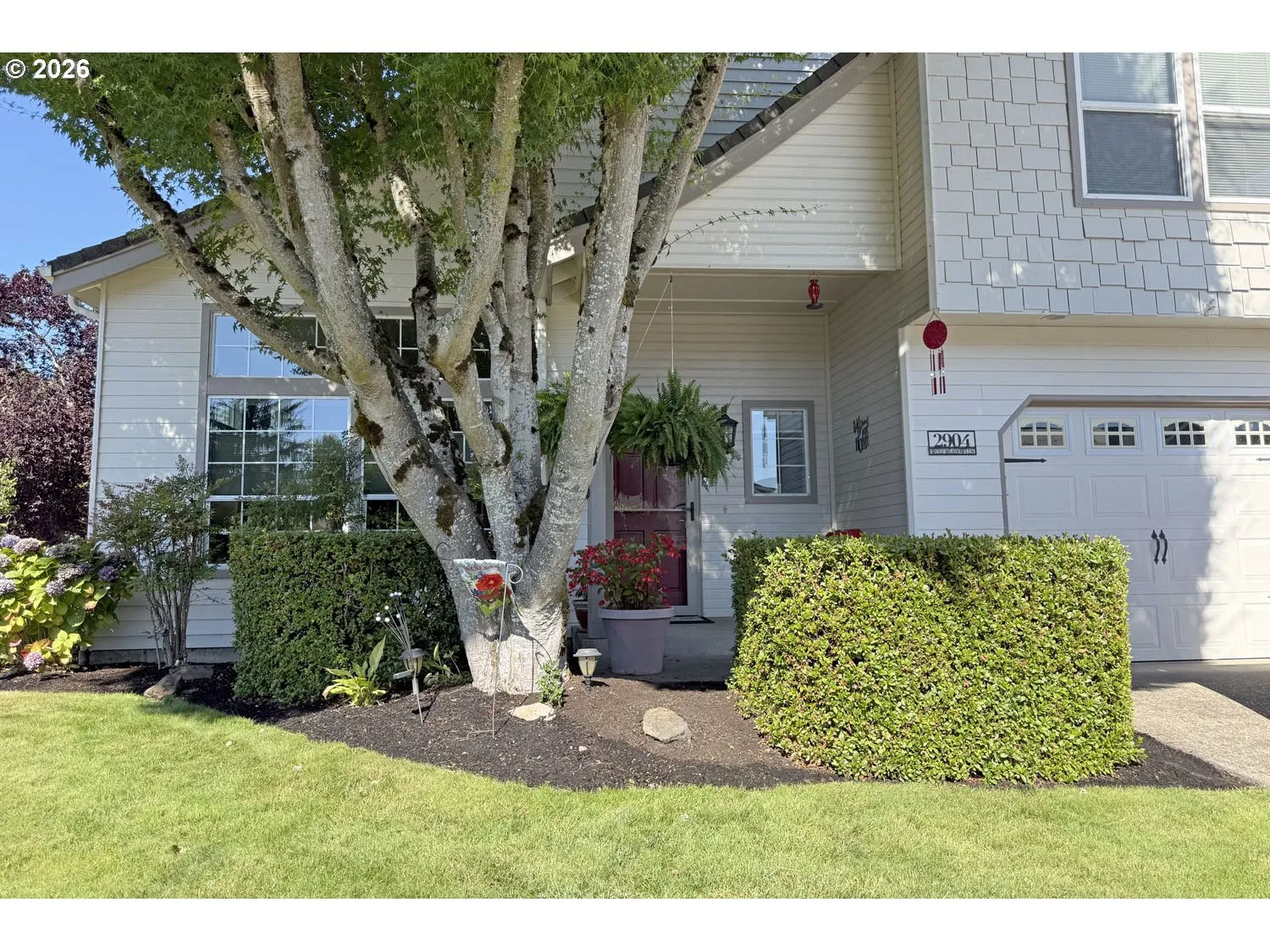 Front Yard-View From