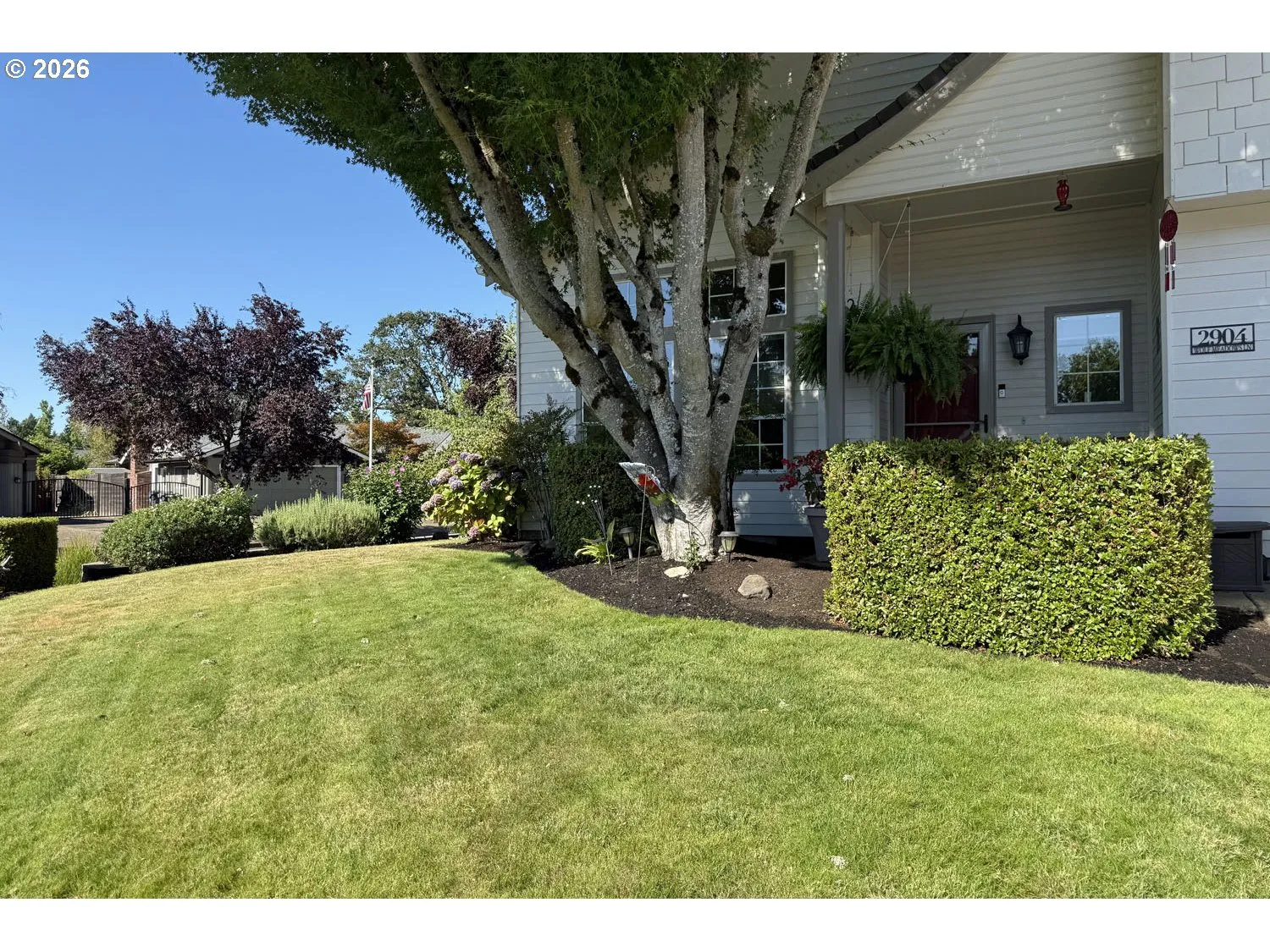 Front Yard