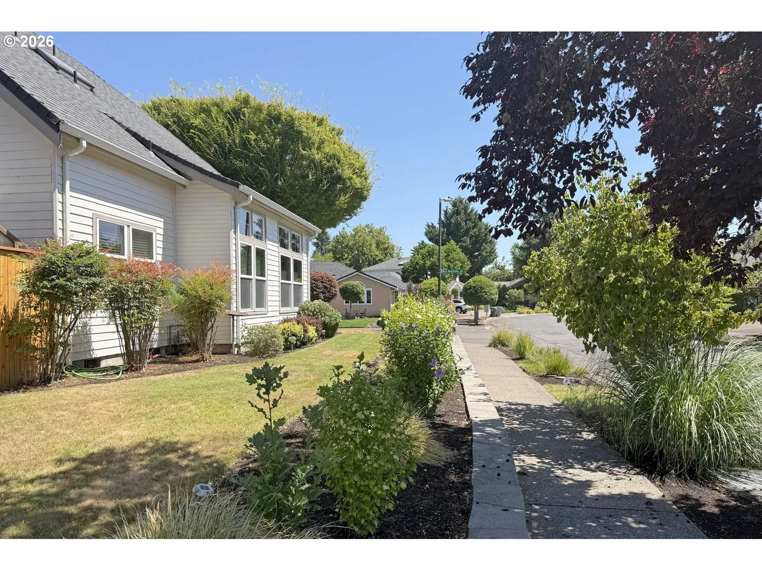 Front Yard-View From