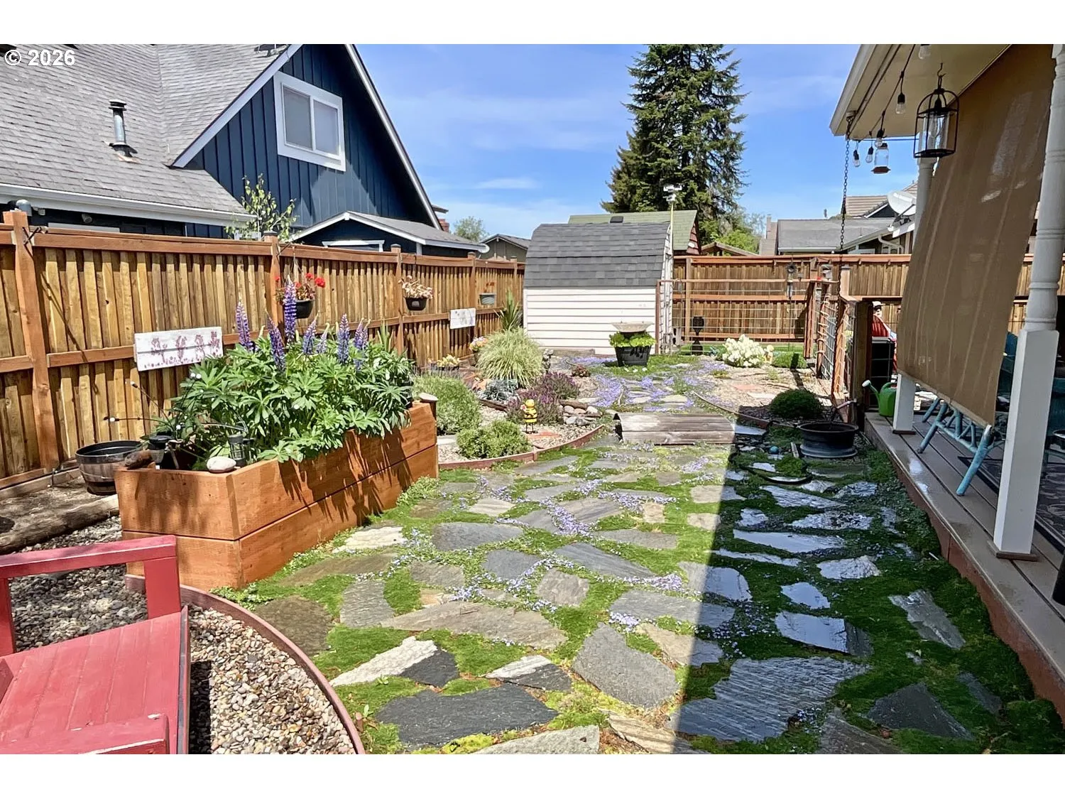 Backyard-Fenced