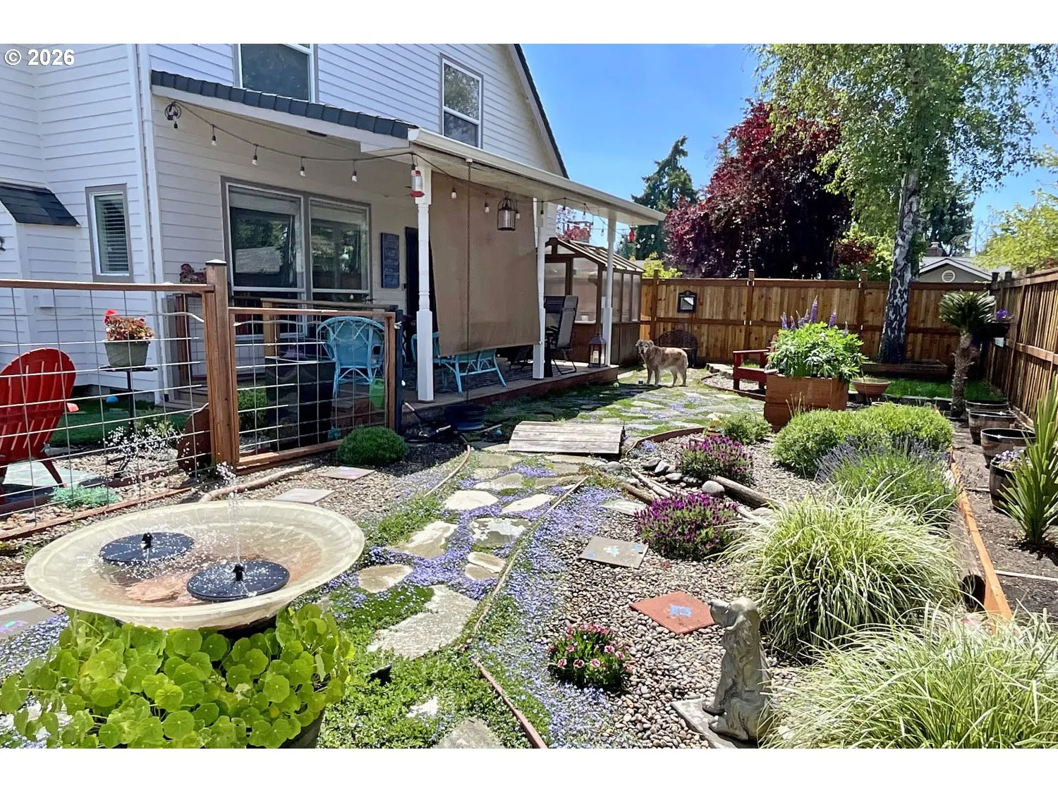 Backyard-View From