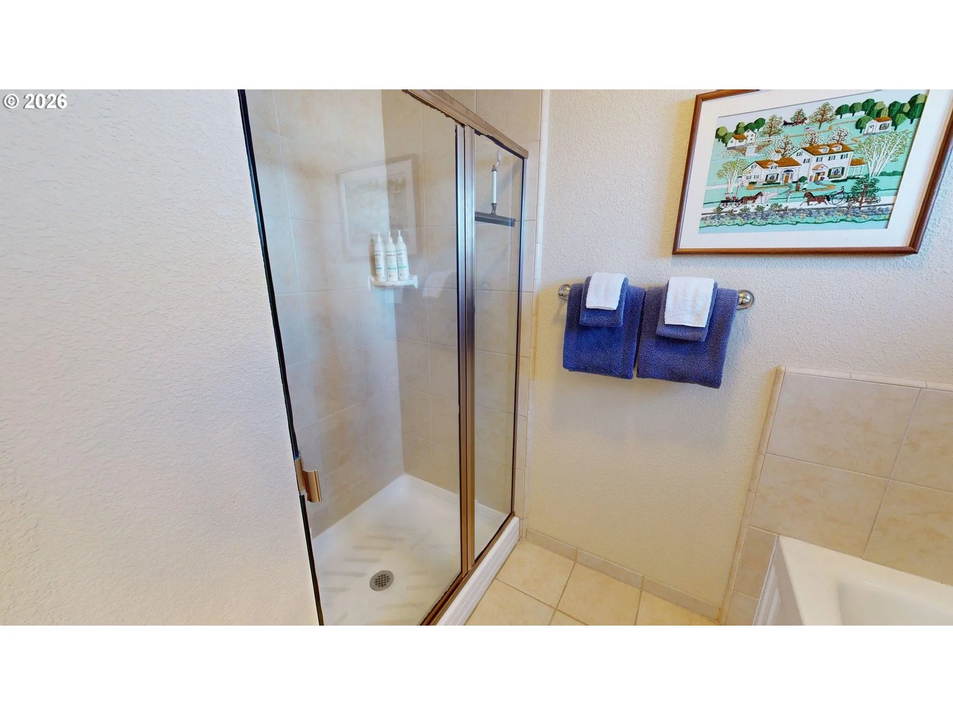 Owner's Suite Bathroom-Walk in Shower