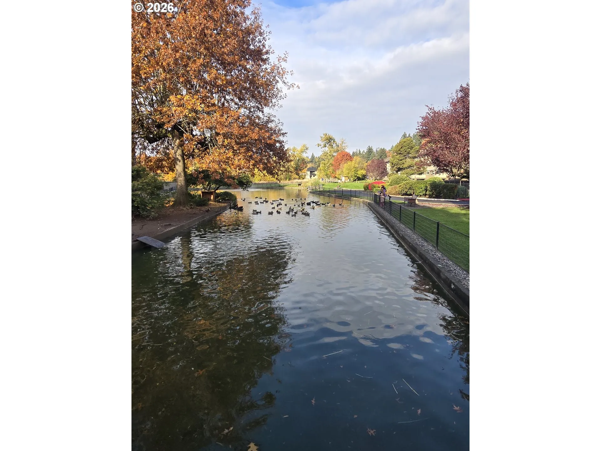 Community Park