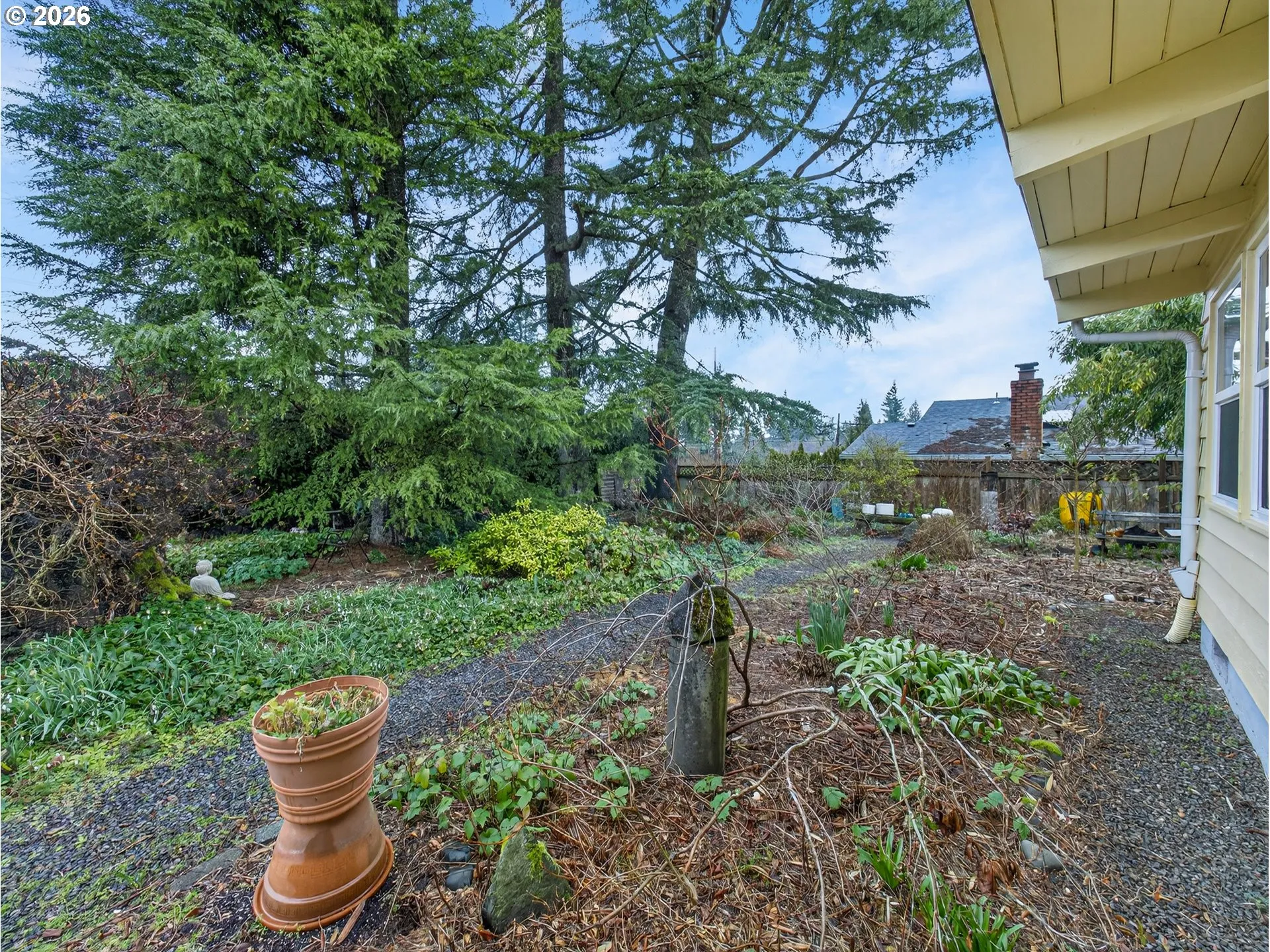 Front Yard-View From