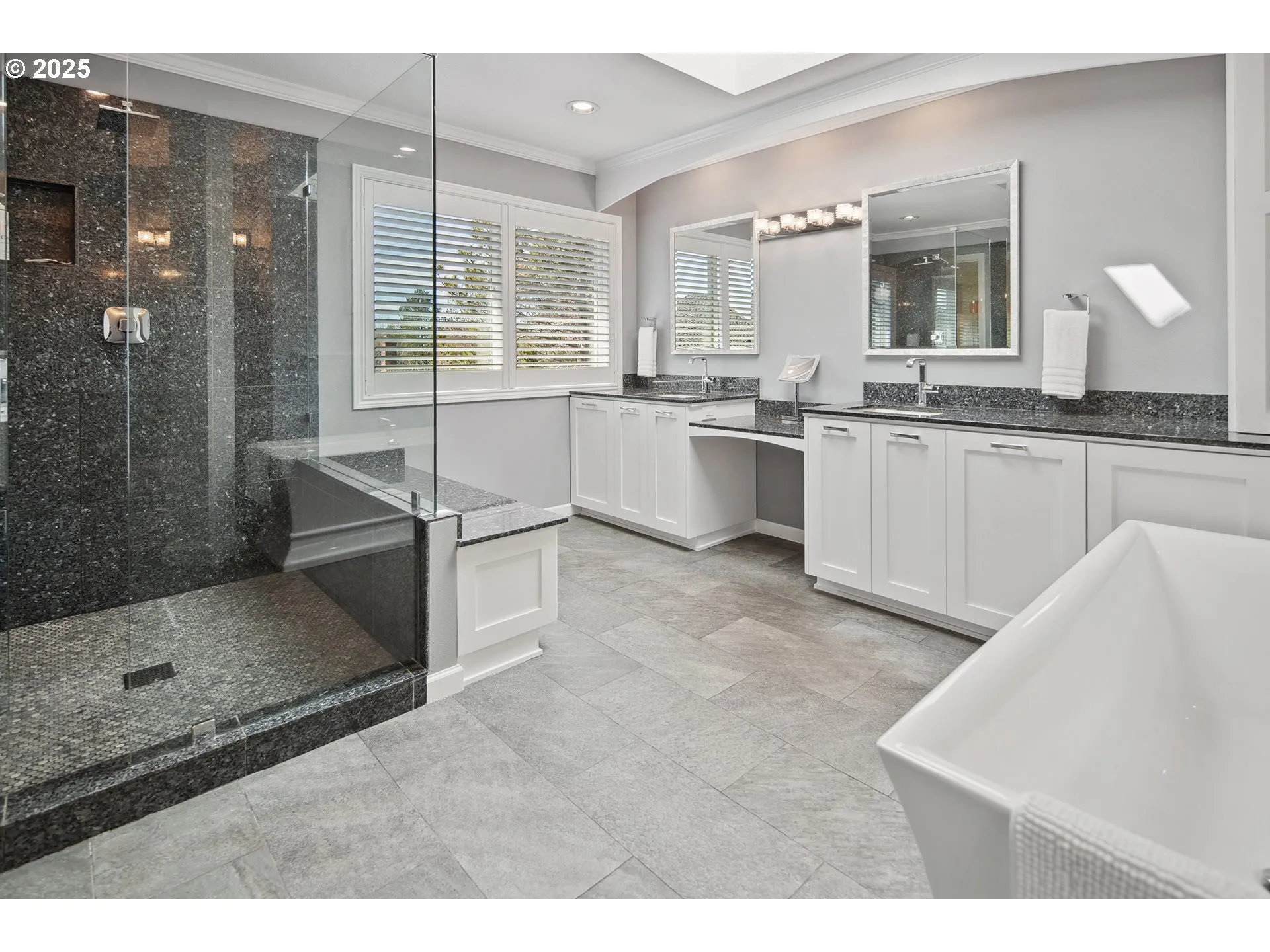 Owner's Suite Bathroom-Walk in Shower