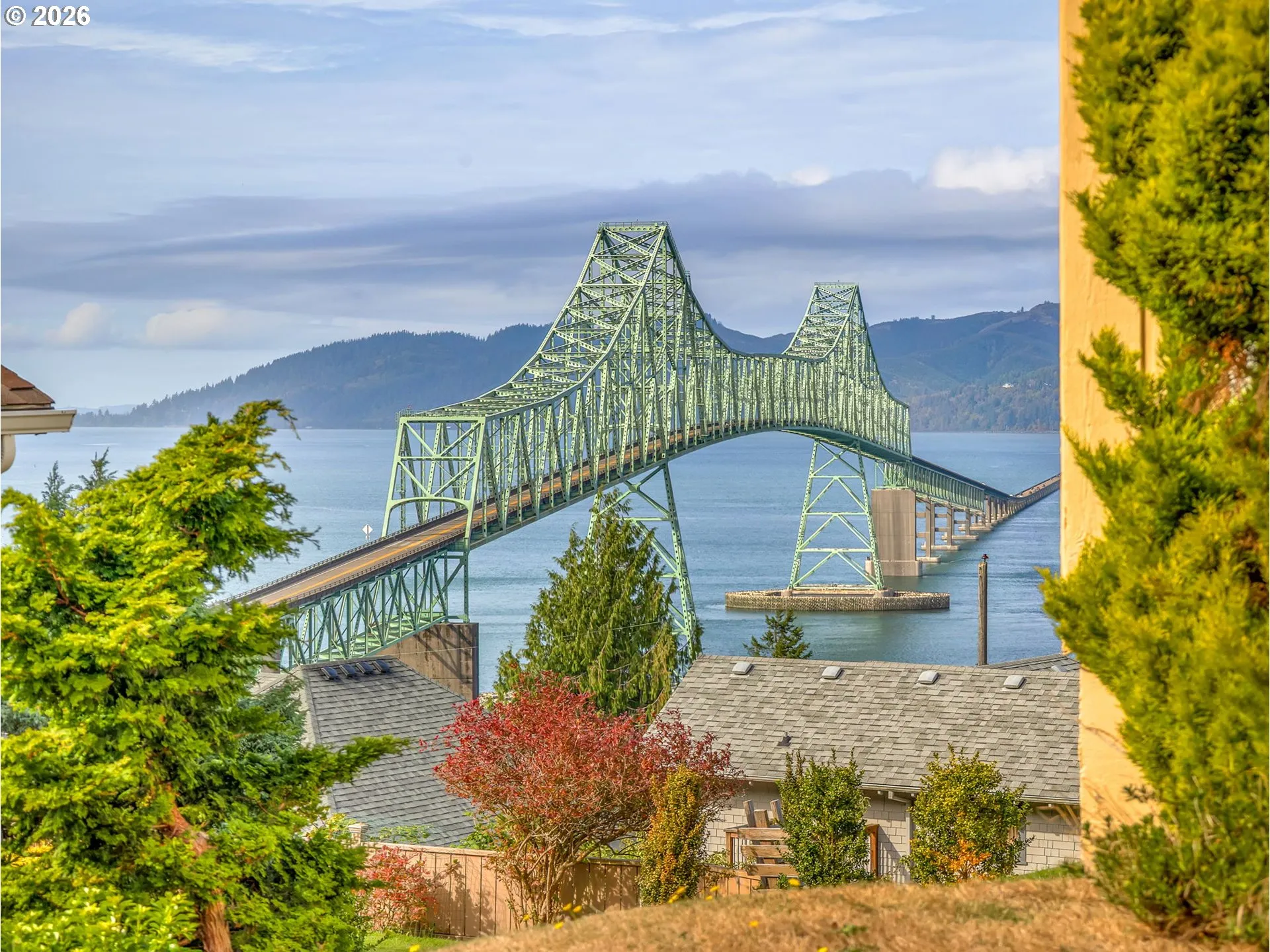View-Bridge