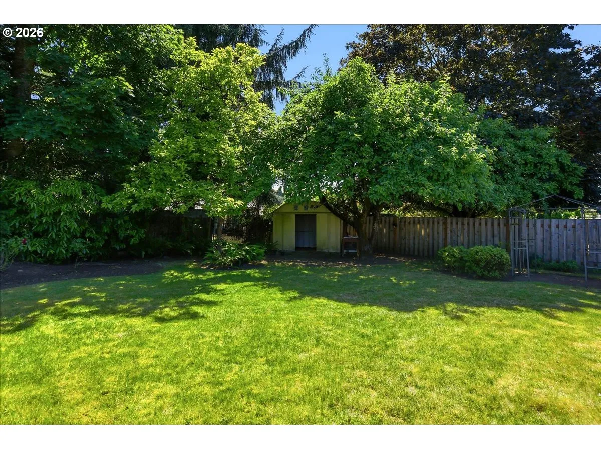 Backyard-Fenced