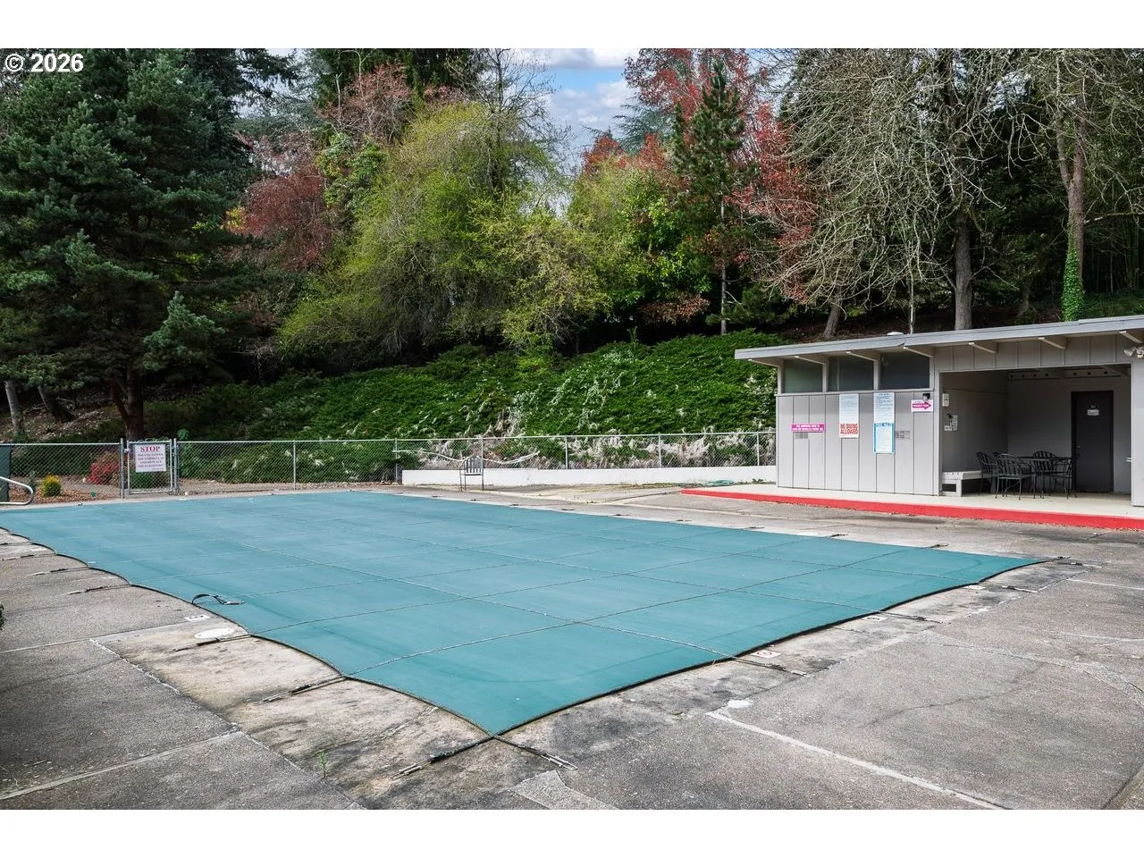 Community Pool