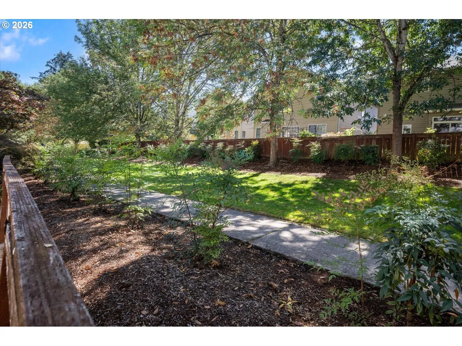 Backyard-View From