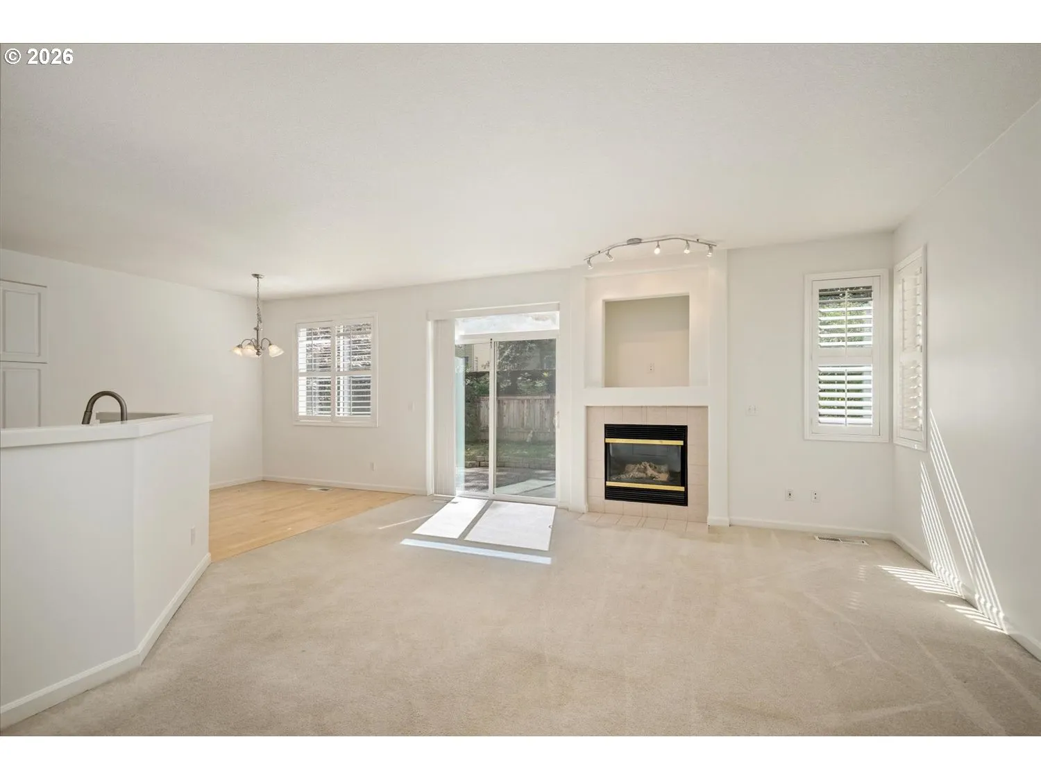Living Room-Fireplace