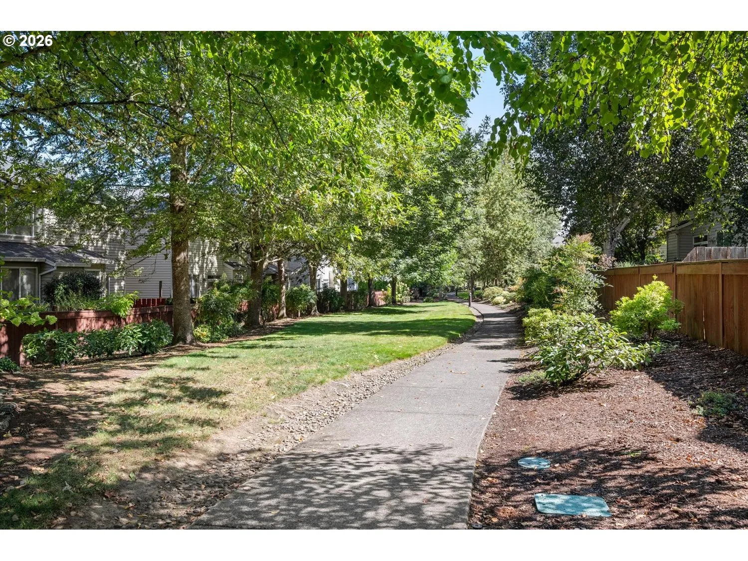 Backyard-View From
