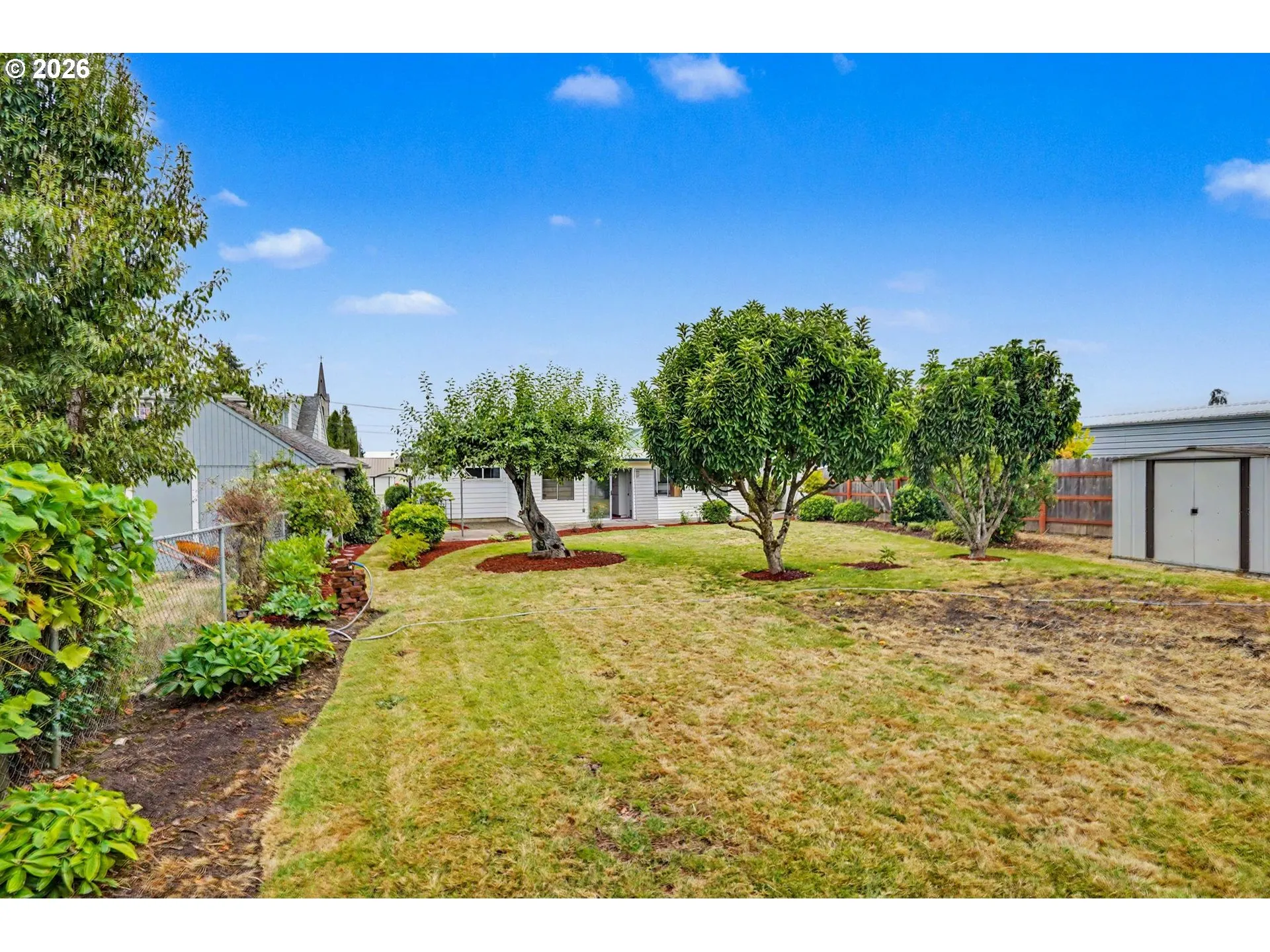 Backyard