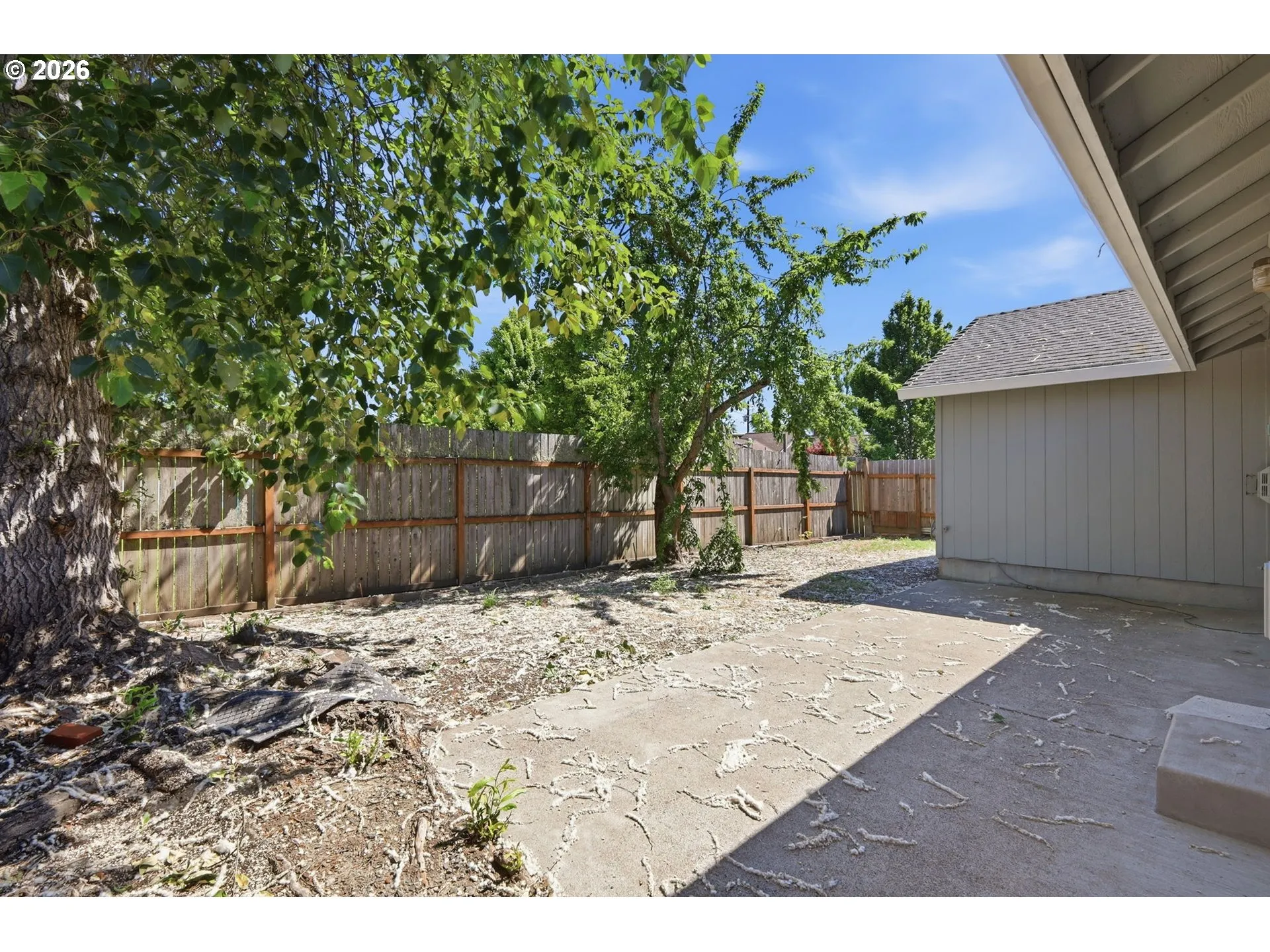 Backyard
