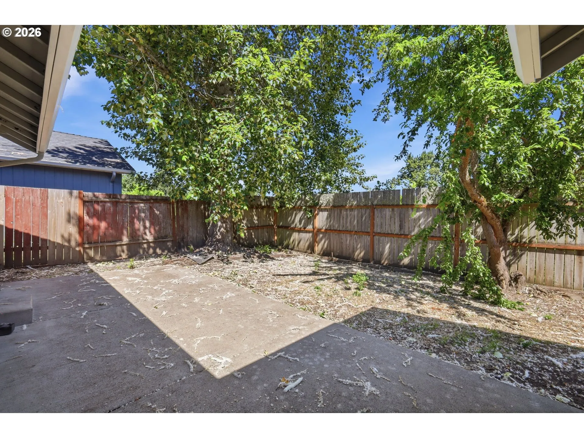Backyard