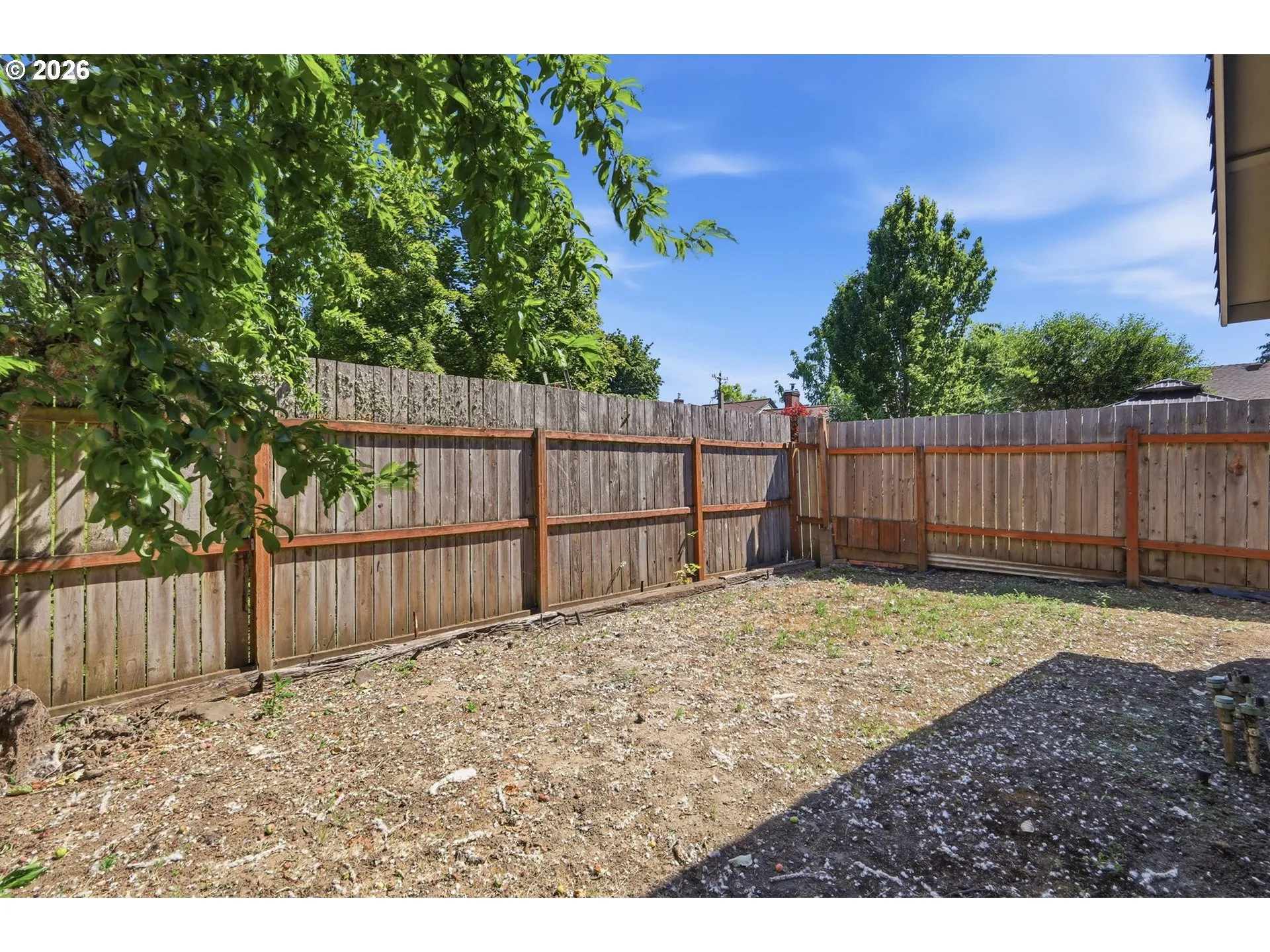Backyard