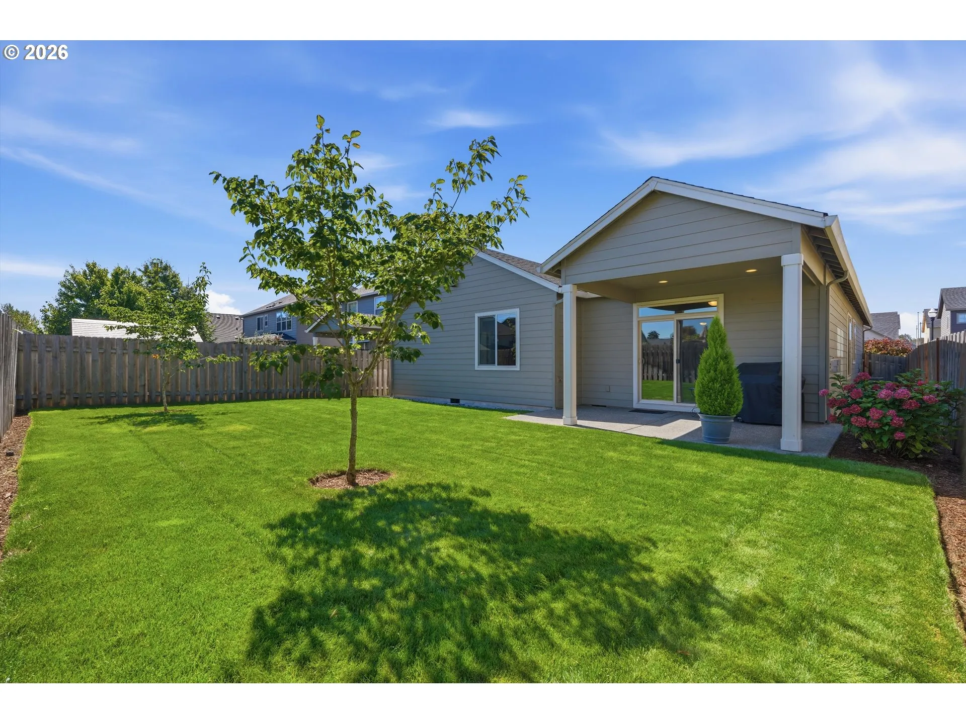 Backyard-View From