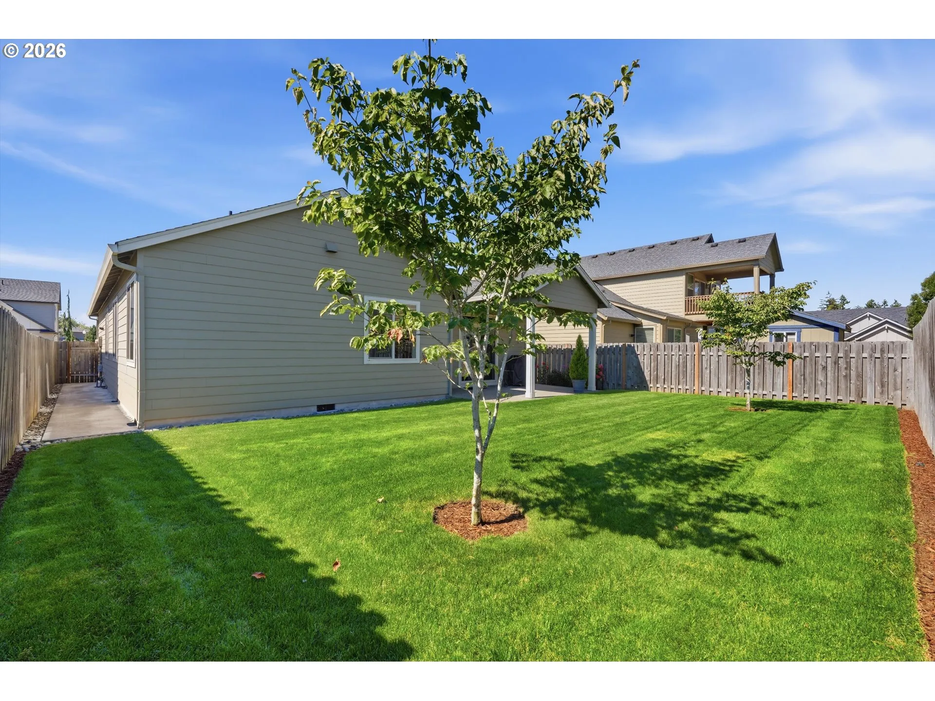 Backyard-View From