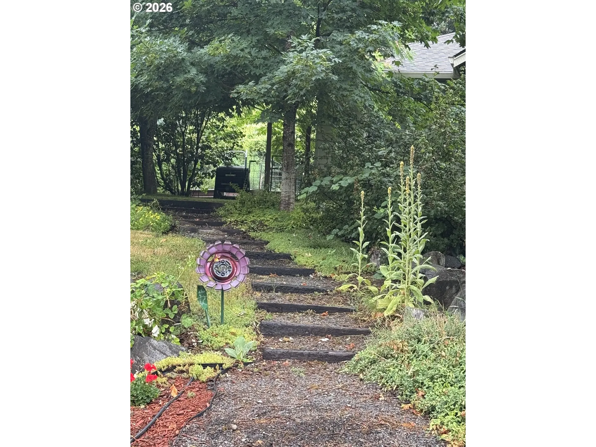 Front Yard