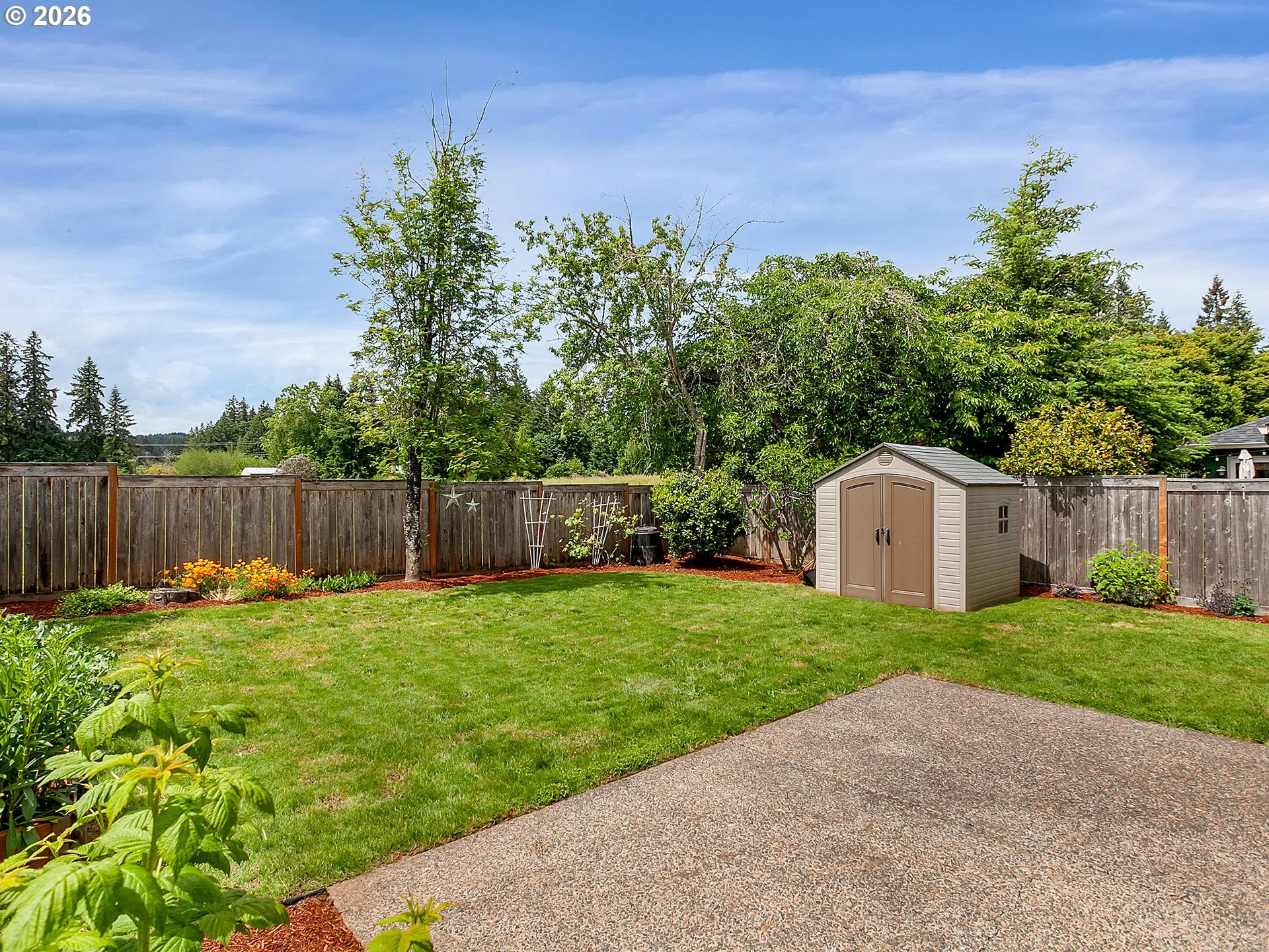 Backyard