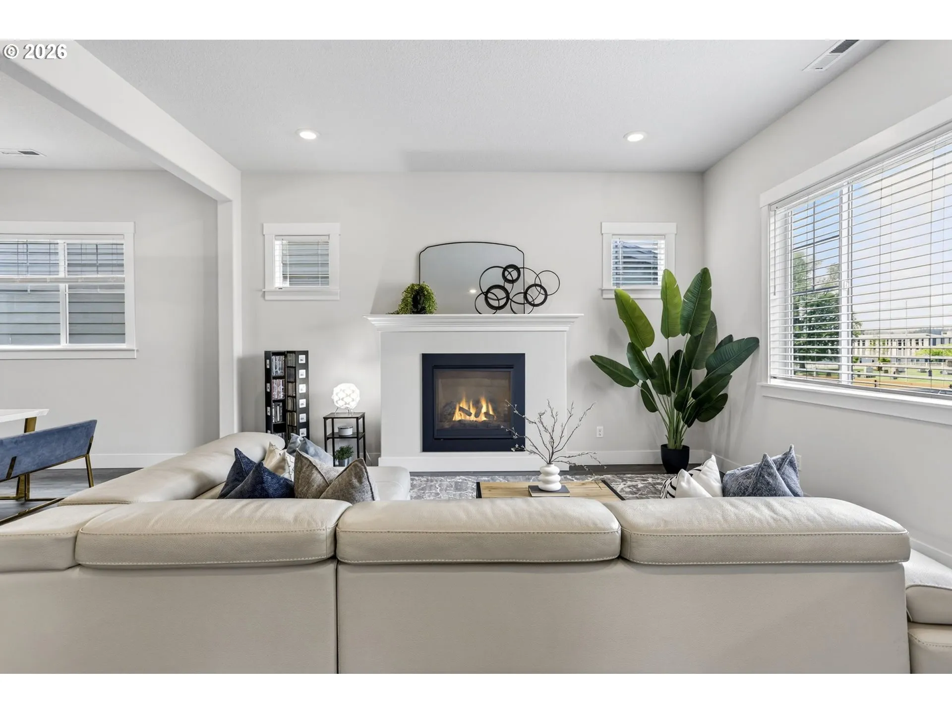 Fireplace Gas