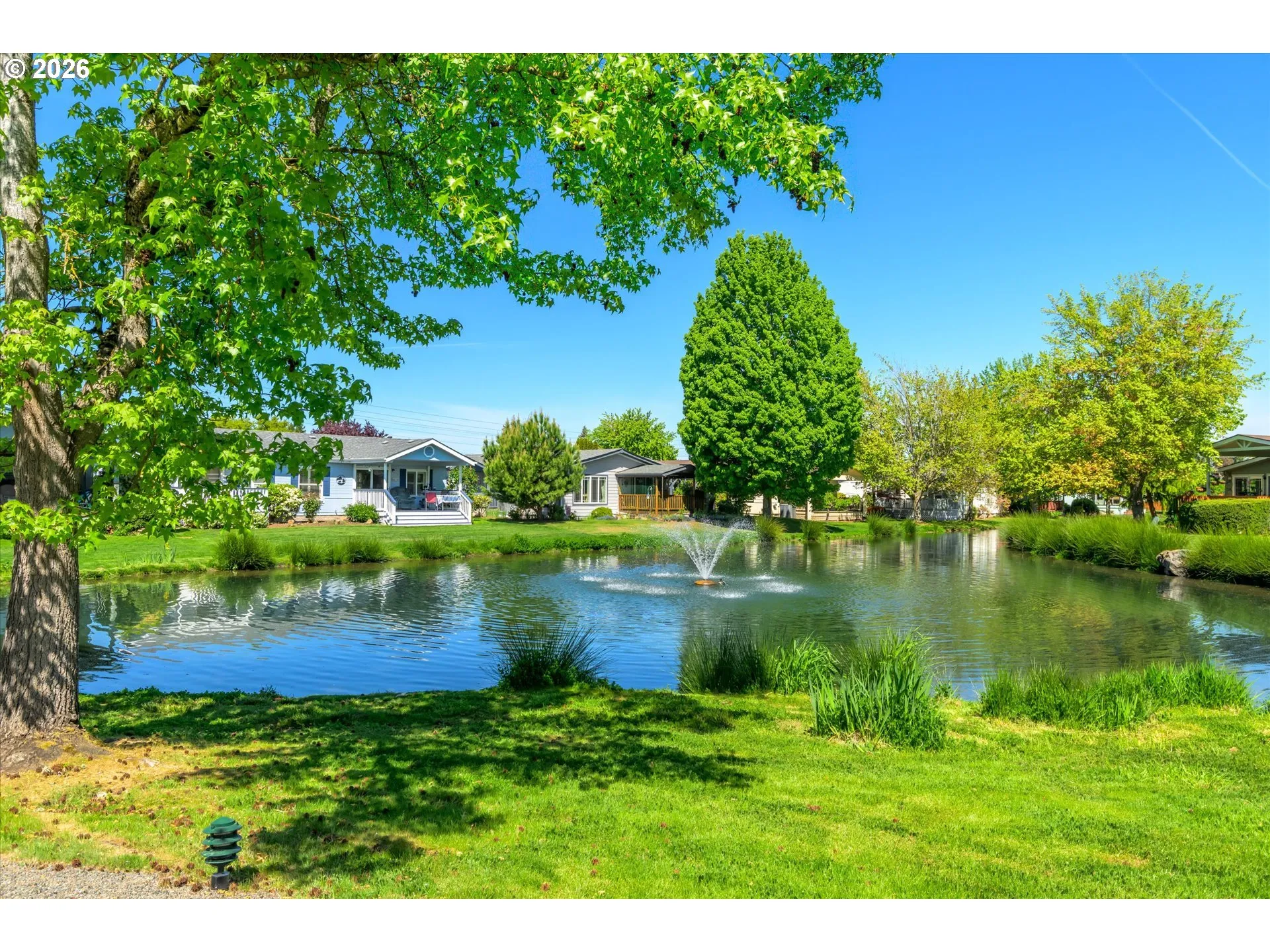 Pond