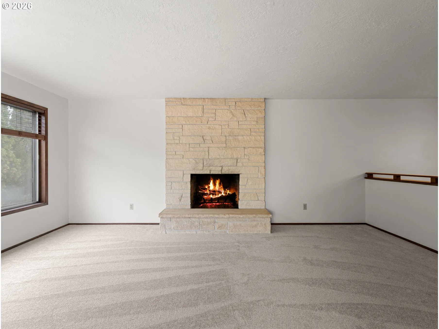 Living Room-Fireplace