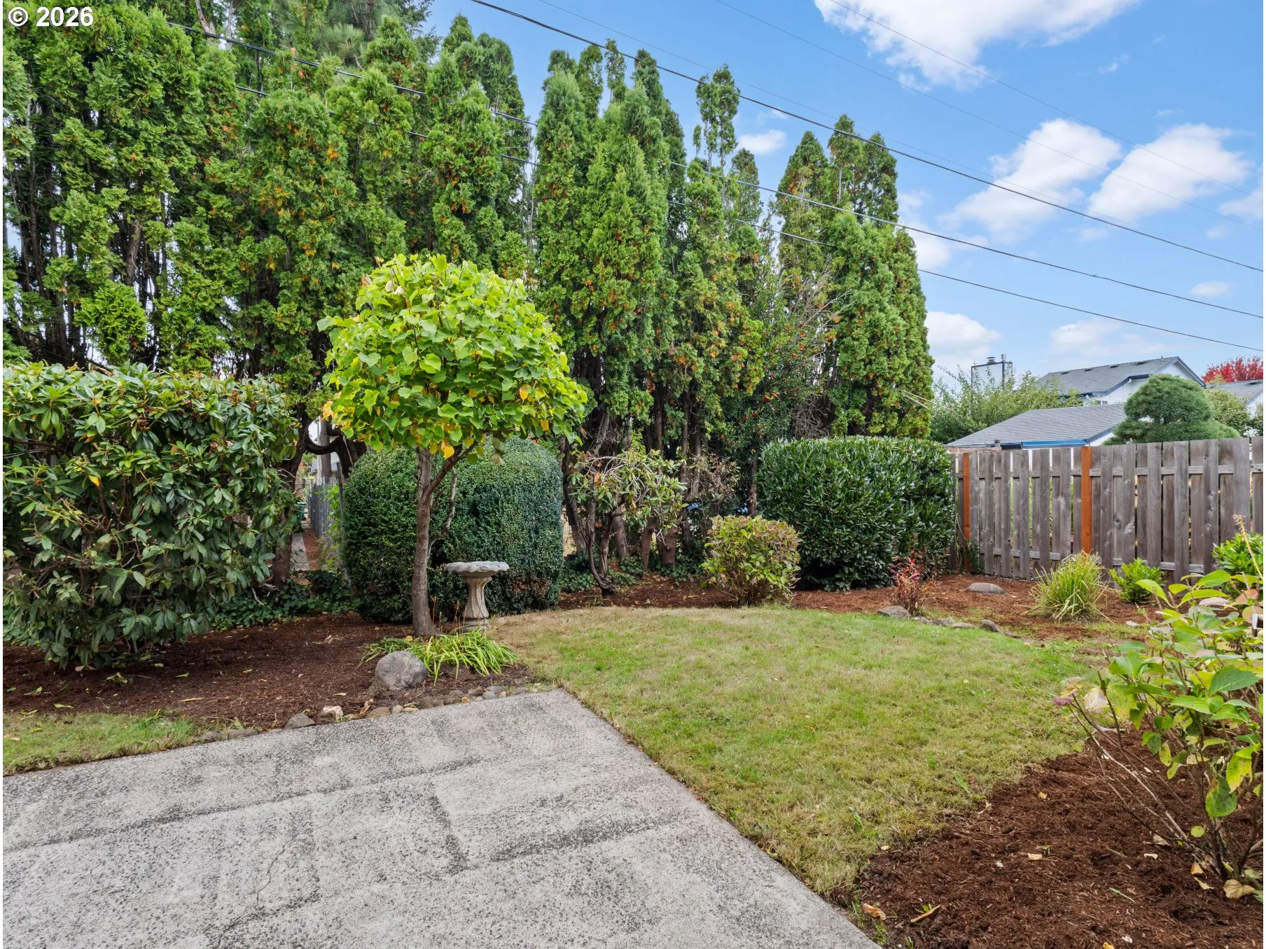 Backyard