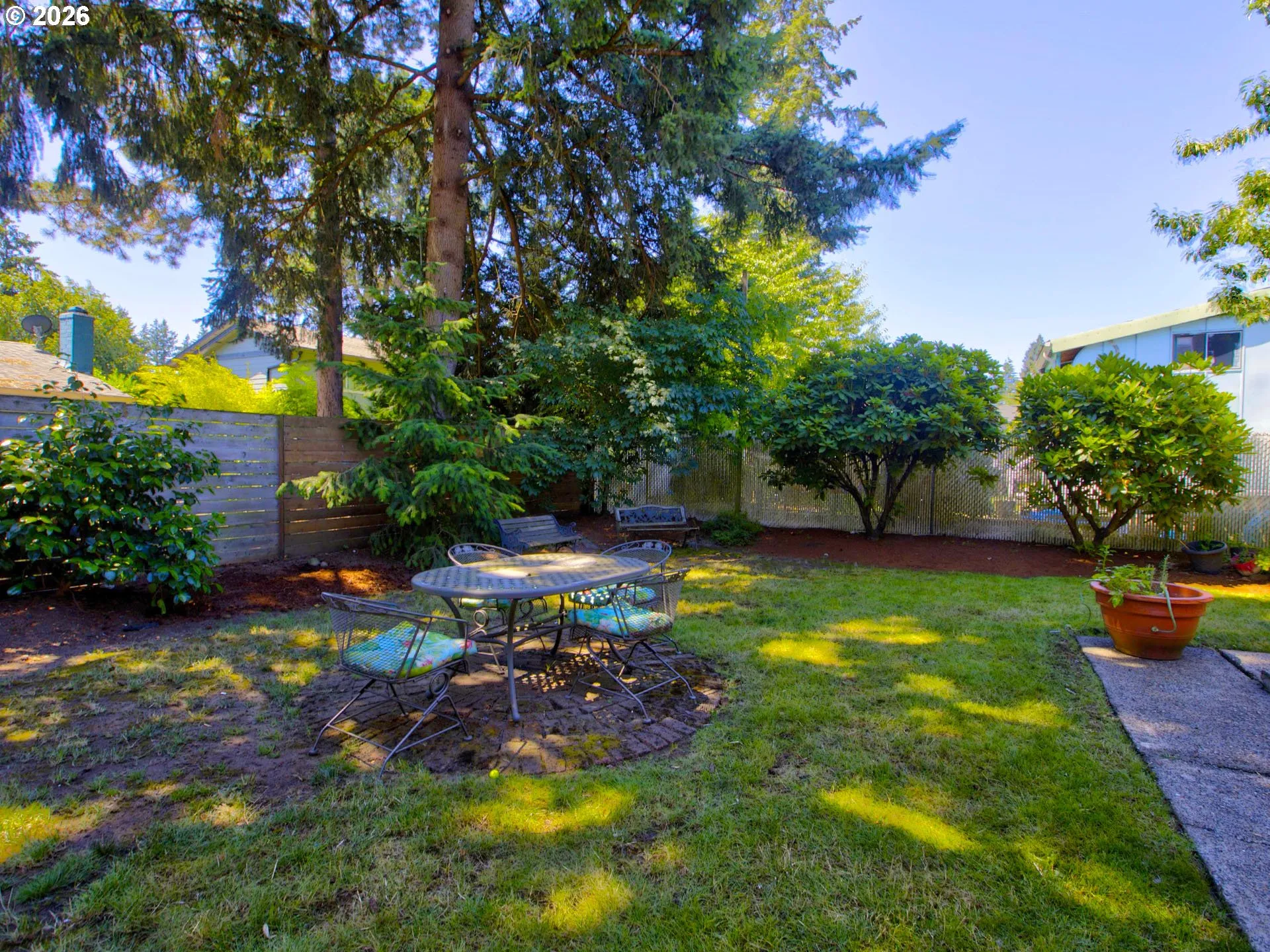 Backyard-# 3